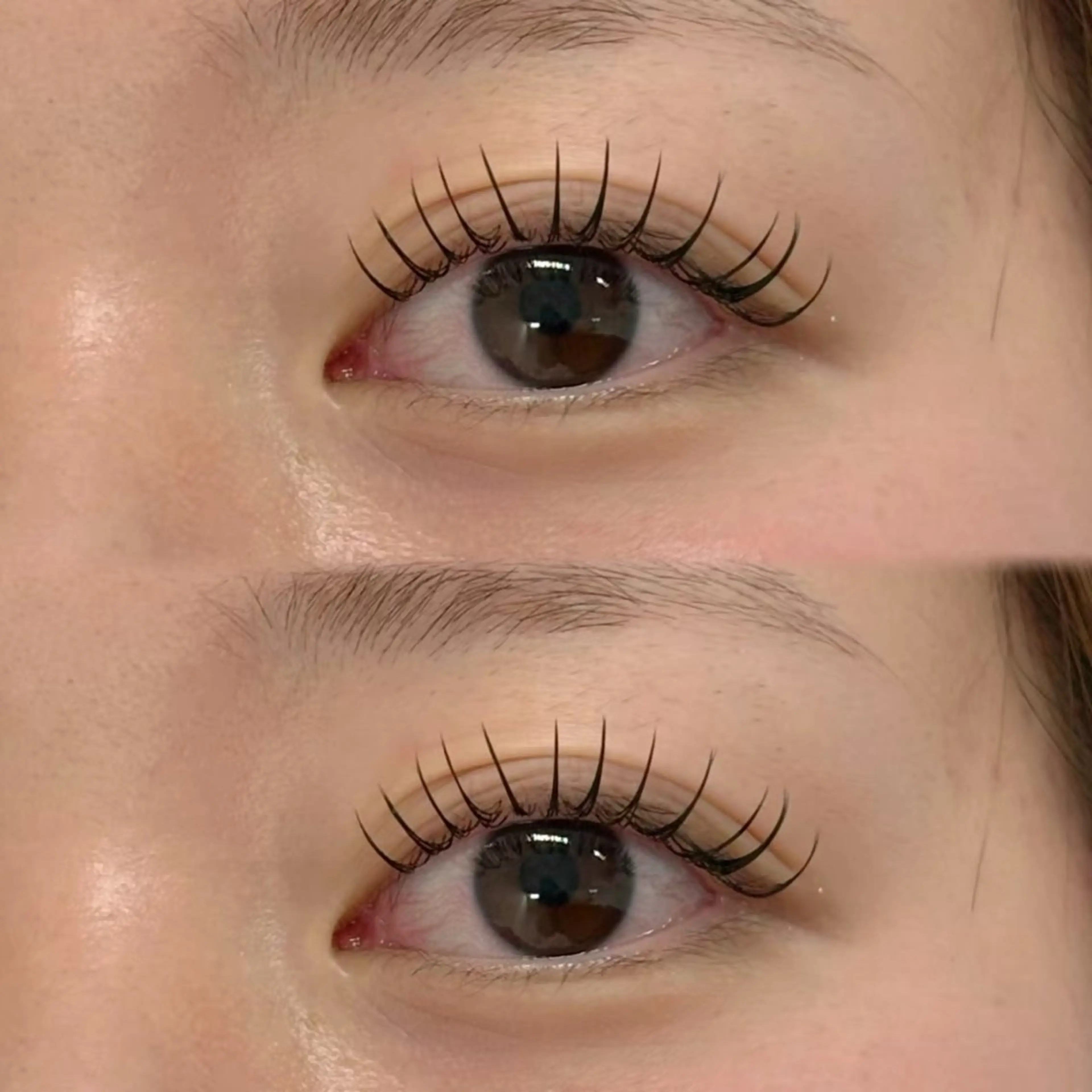 マツエク オフあり🫧フラットラッシュ 100本 練習モデルの写真