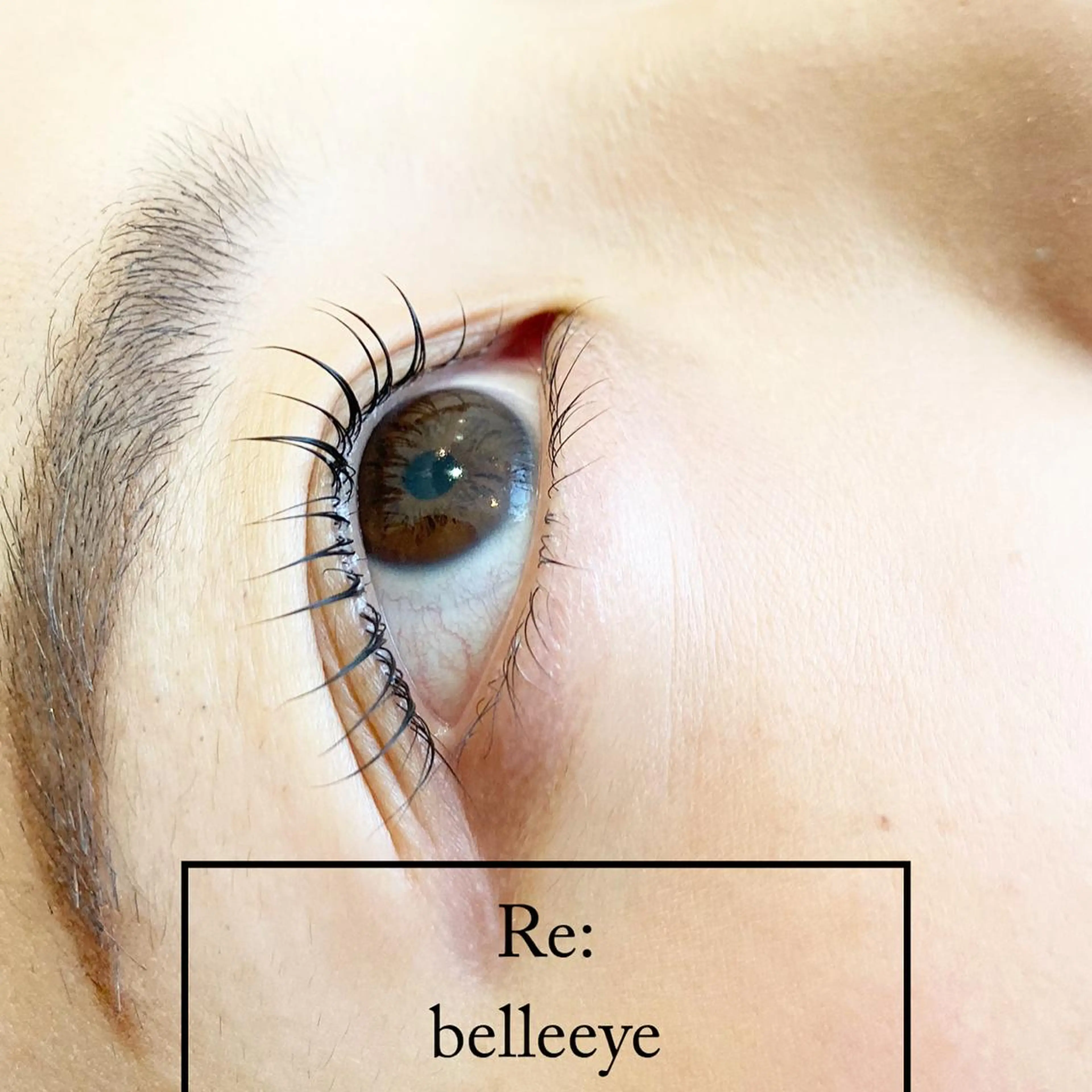 minimoで再来!上まつげ、2回目→3ヶ月以内のご来店はこちらへ!の写真