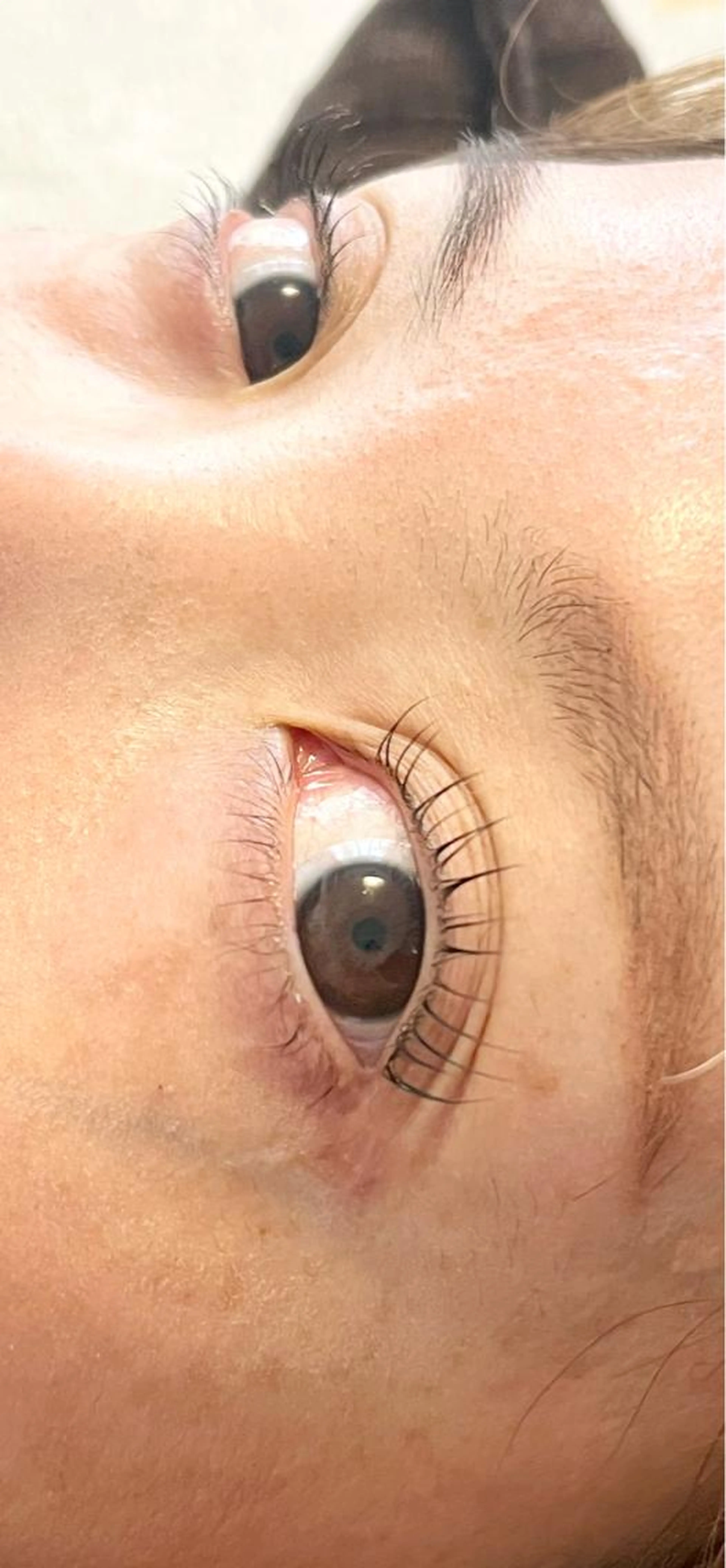 ✨認定店パリジェンヌラッシュリフト✨+ケラチントリートメント➕アイシャンプー（お写真、動画撮影SNS投稿許可頂きます）の写真