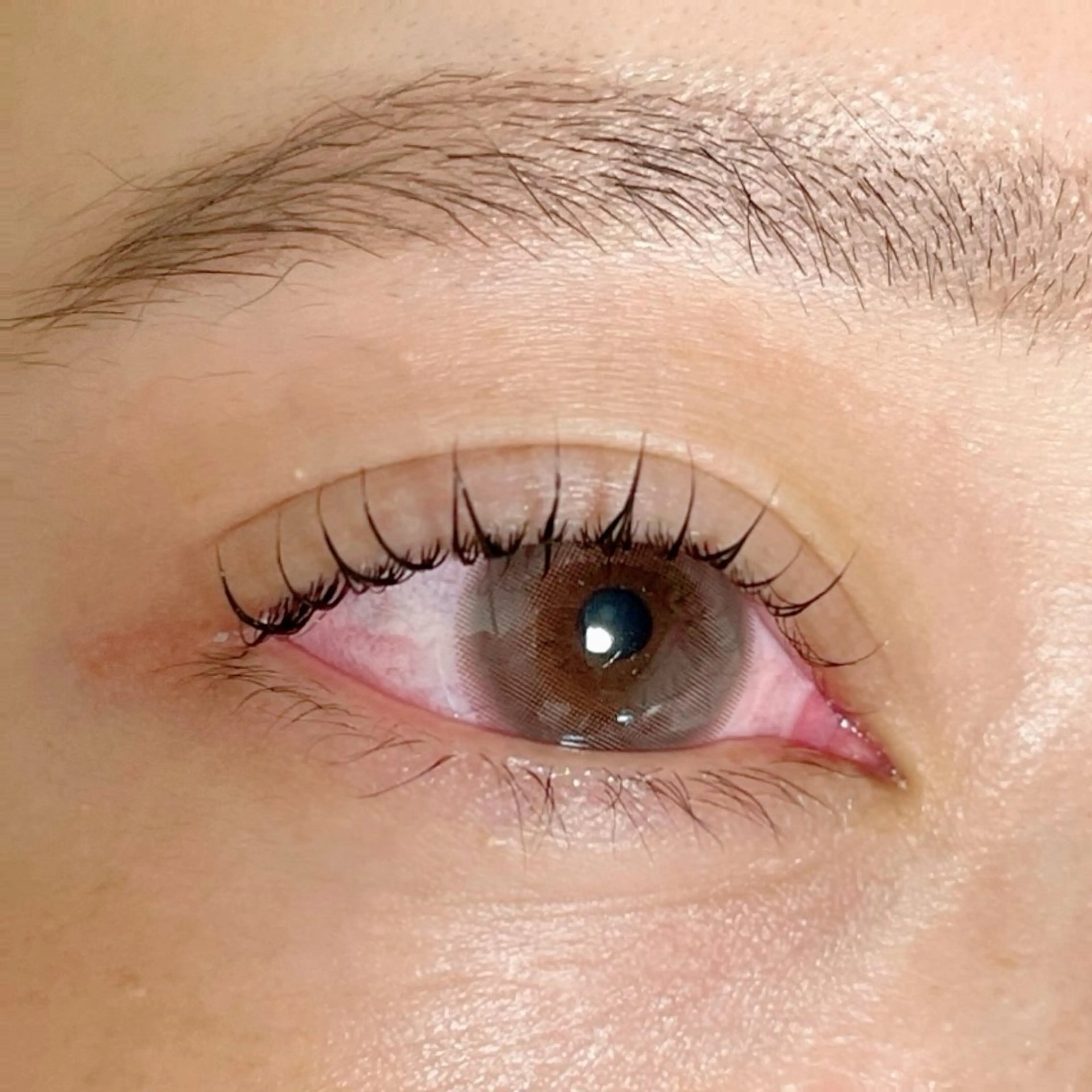 マツエク・マツパ パリジェンヌラッシュリフト まつげパーマ 🧸 Emiri🫧のマツエク・マツパデザイン