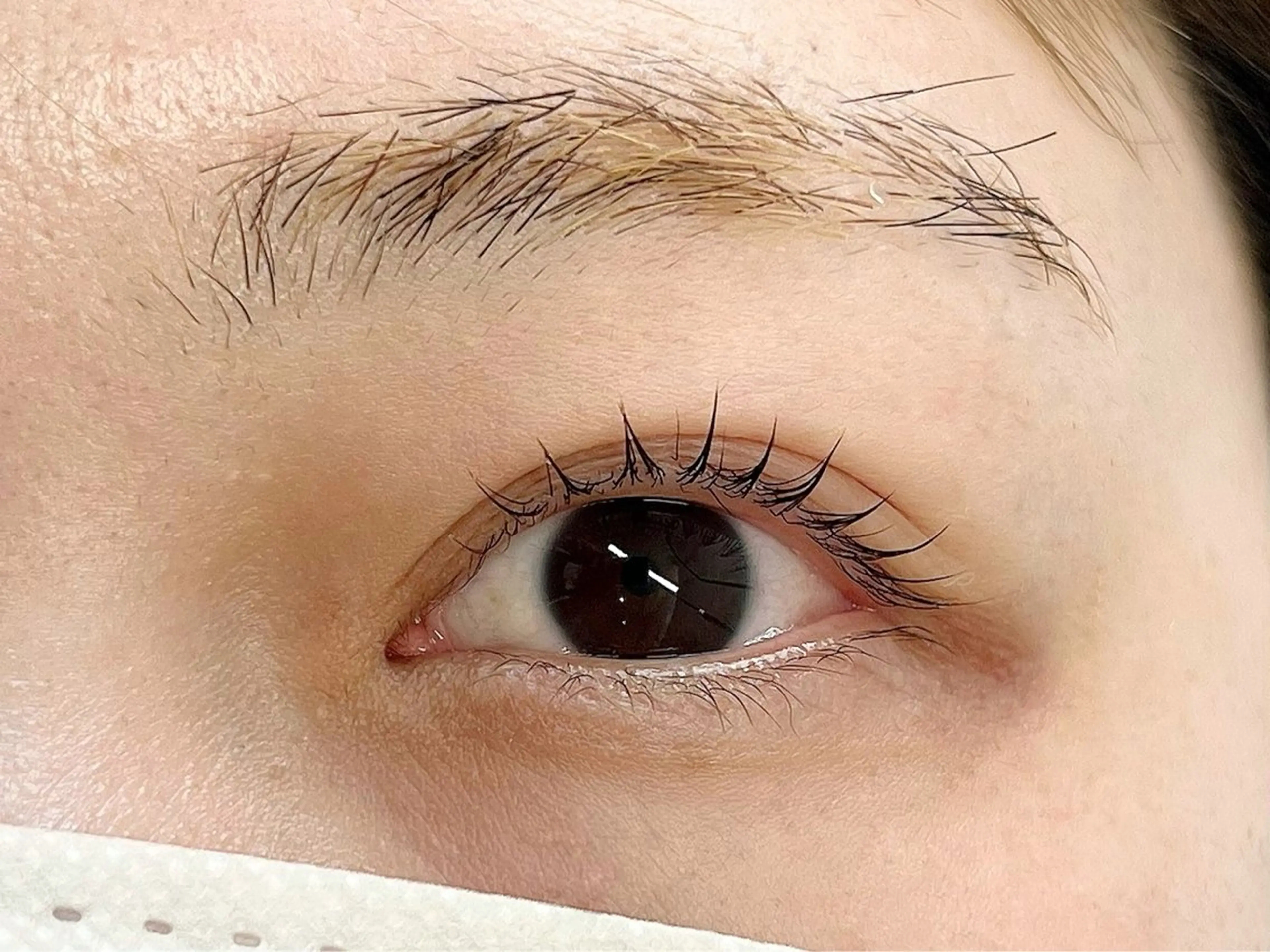 マツエク・マツパ マツエク Smooth LED専門店⭐︎のマツエク・マツパデザイン