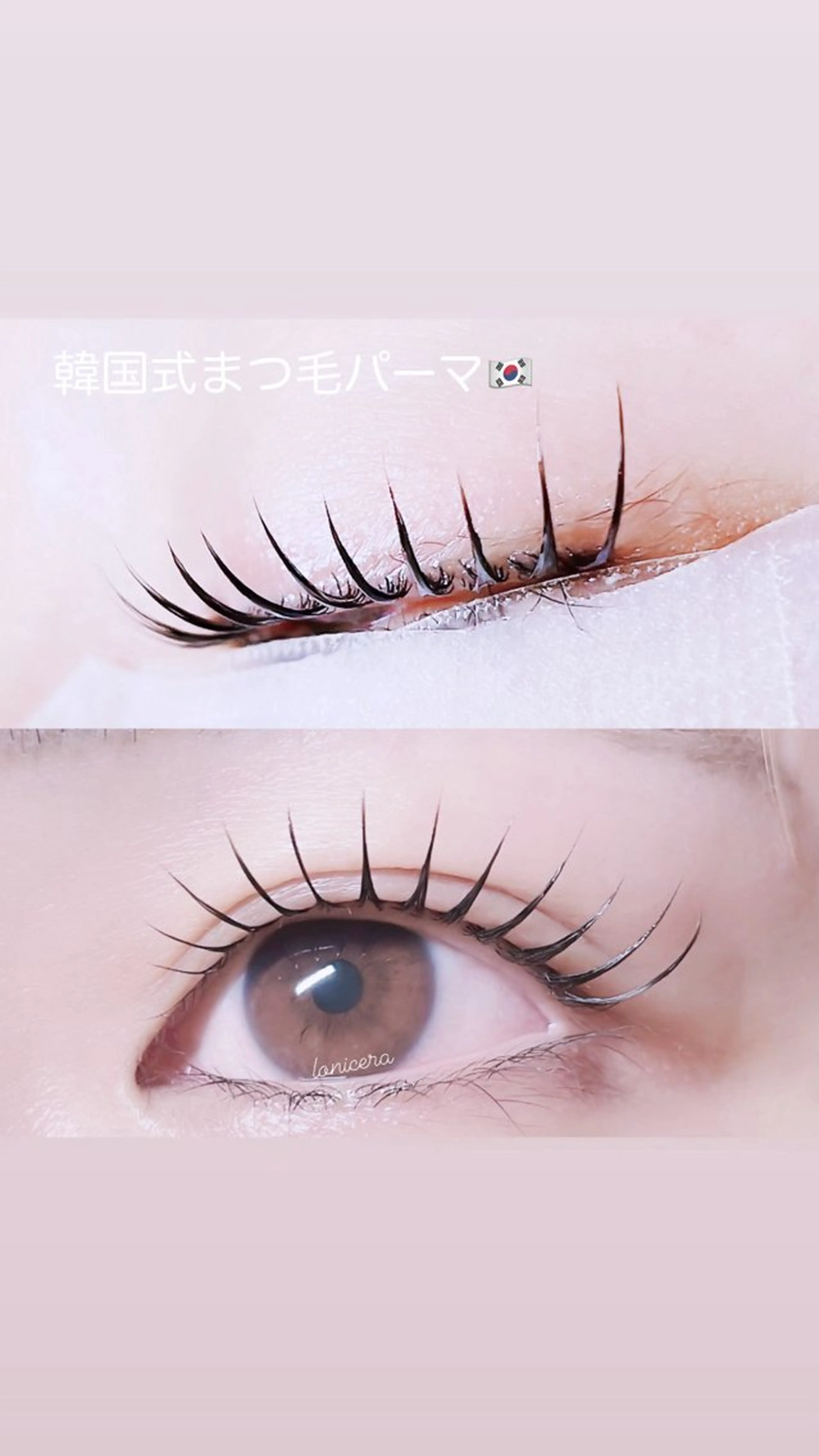 マツエク・マツパ 韓国風マツエク 一重×まつ毛パーマ ロニセラ アイラッシュのマツエク・マツパデザイン