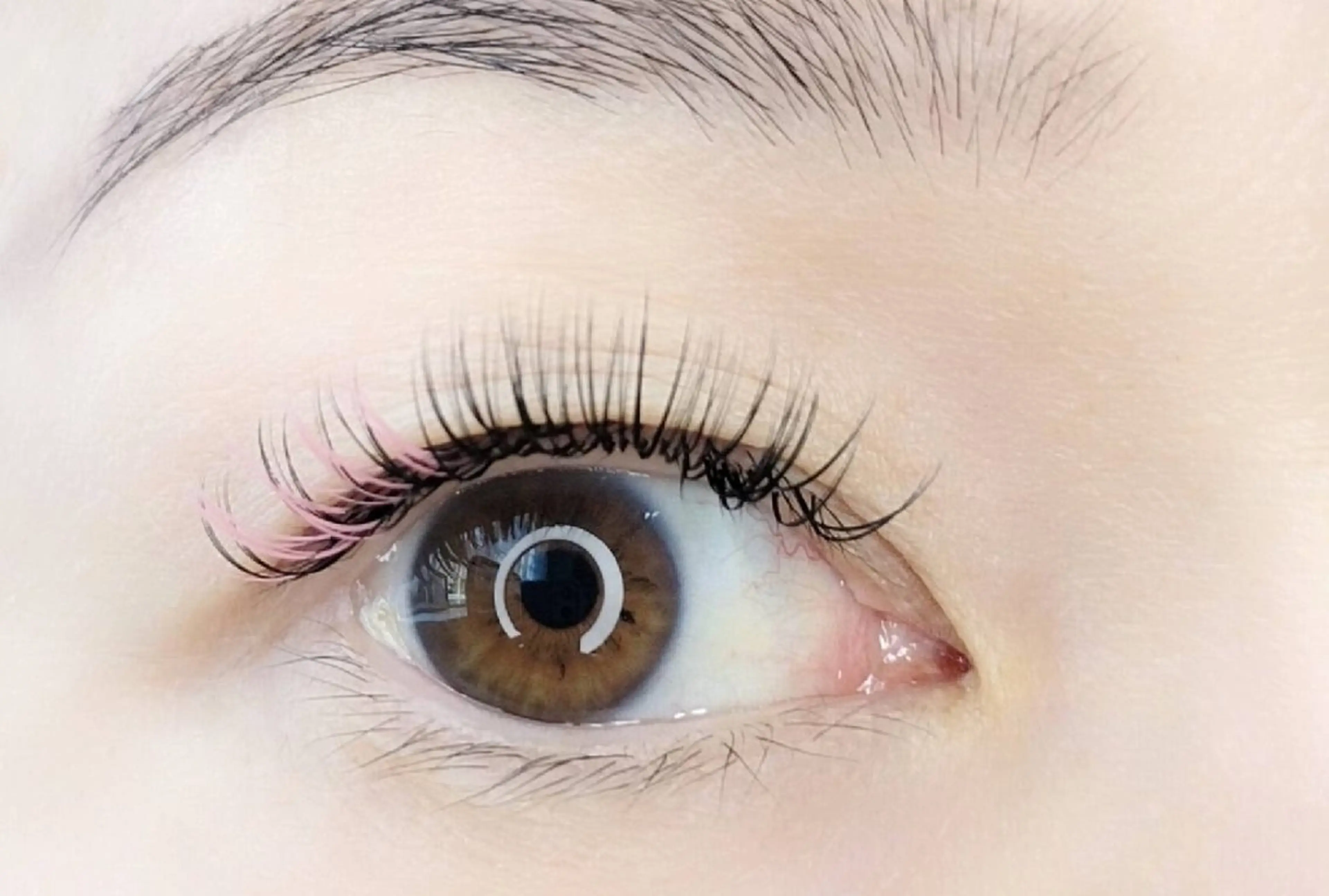 マツエク・マツパ Cカール カラーマツエク マツエク Fleur (フルール)のマツエク・マツパデザイン