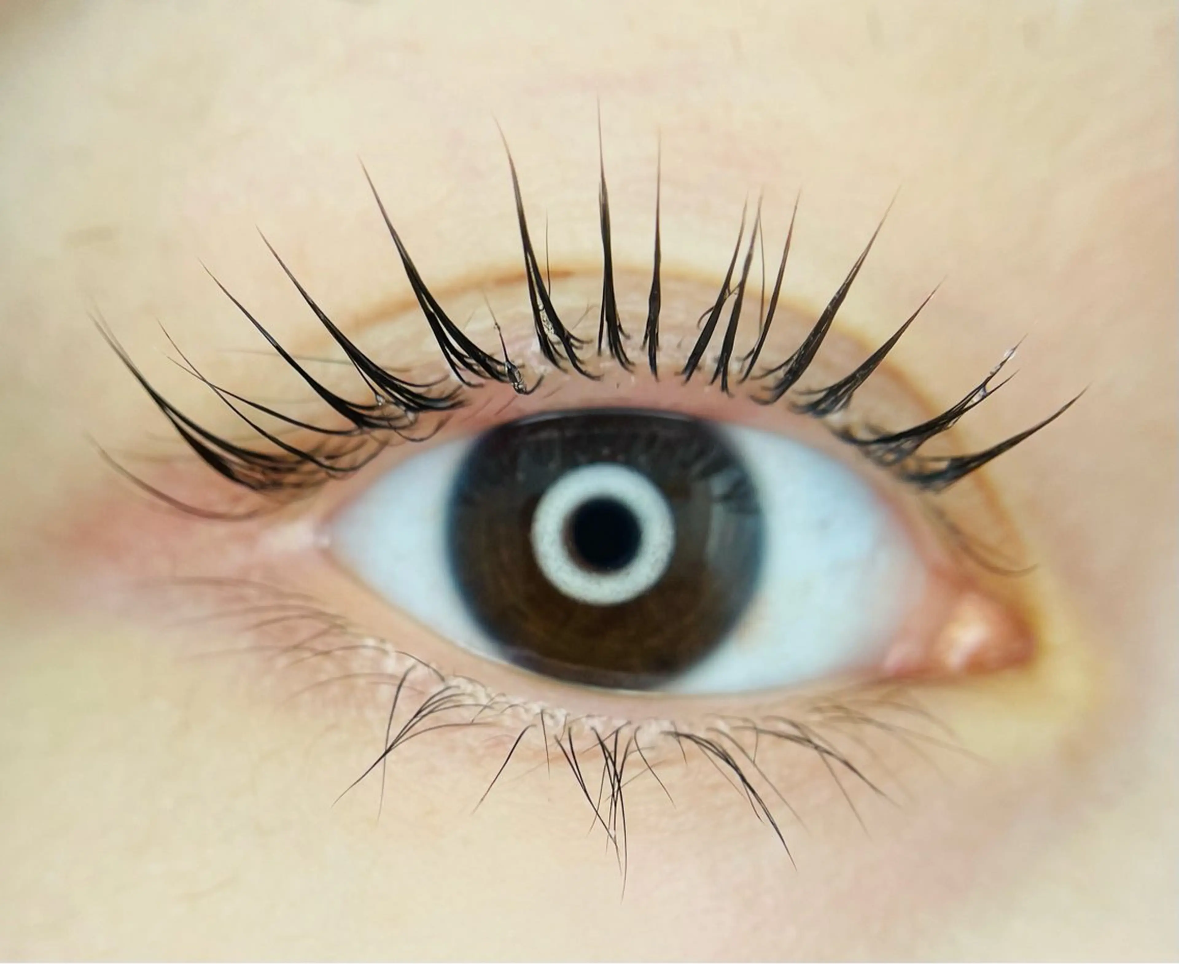 マツエク・マツパ L🎀リアン サロンのマツエク・マツパデザイン