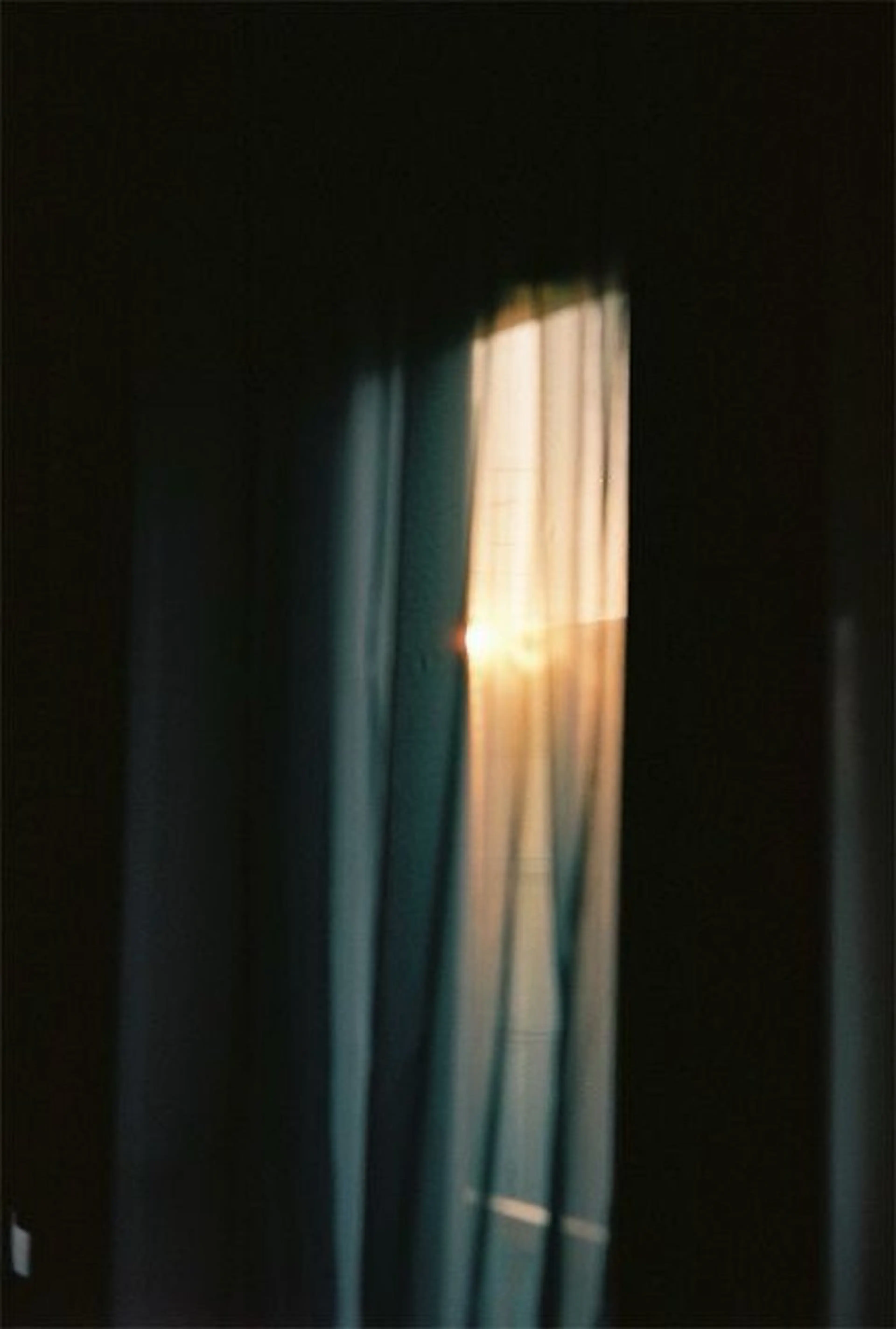 《平日10:30~15:00限定/初回オフ無料》【hand or foot】 ワンカラー/マグネット/フラッシュネイルの写真