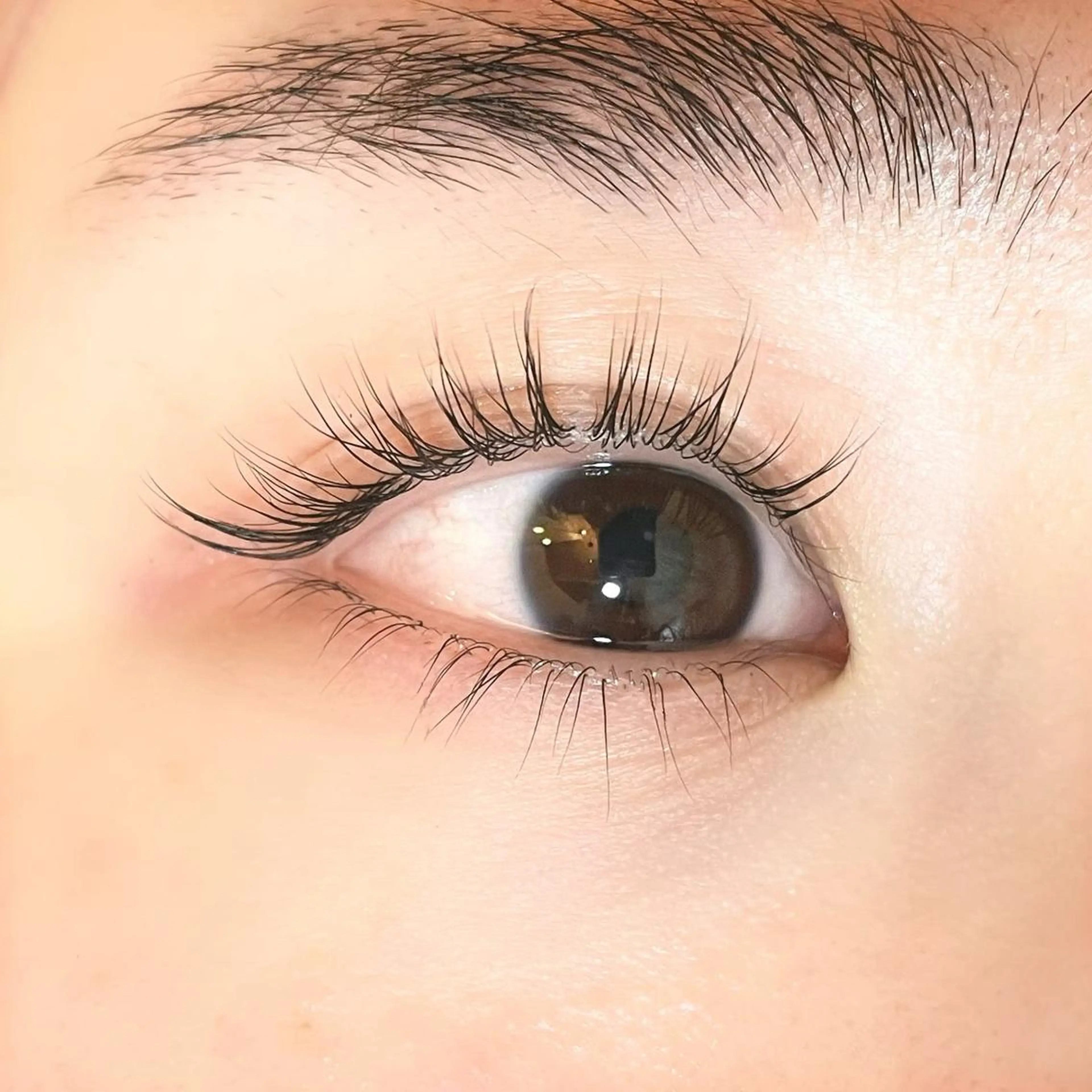 𝗻𝗲𝘄✨LEDエクステ✨150本まで付け放題の写真