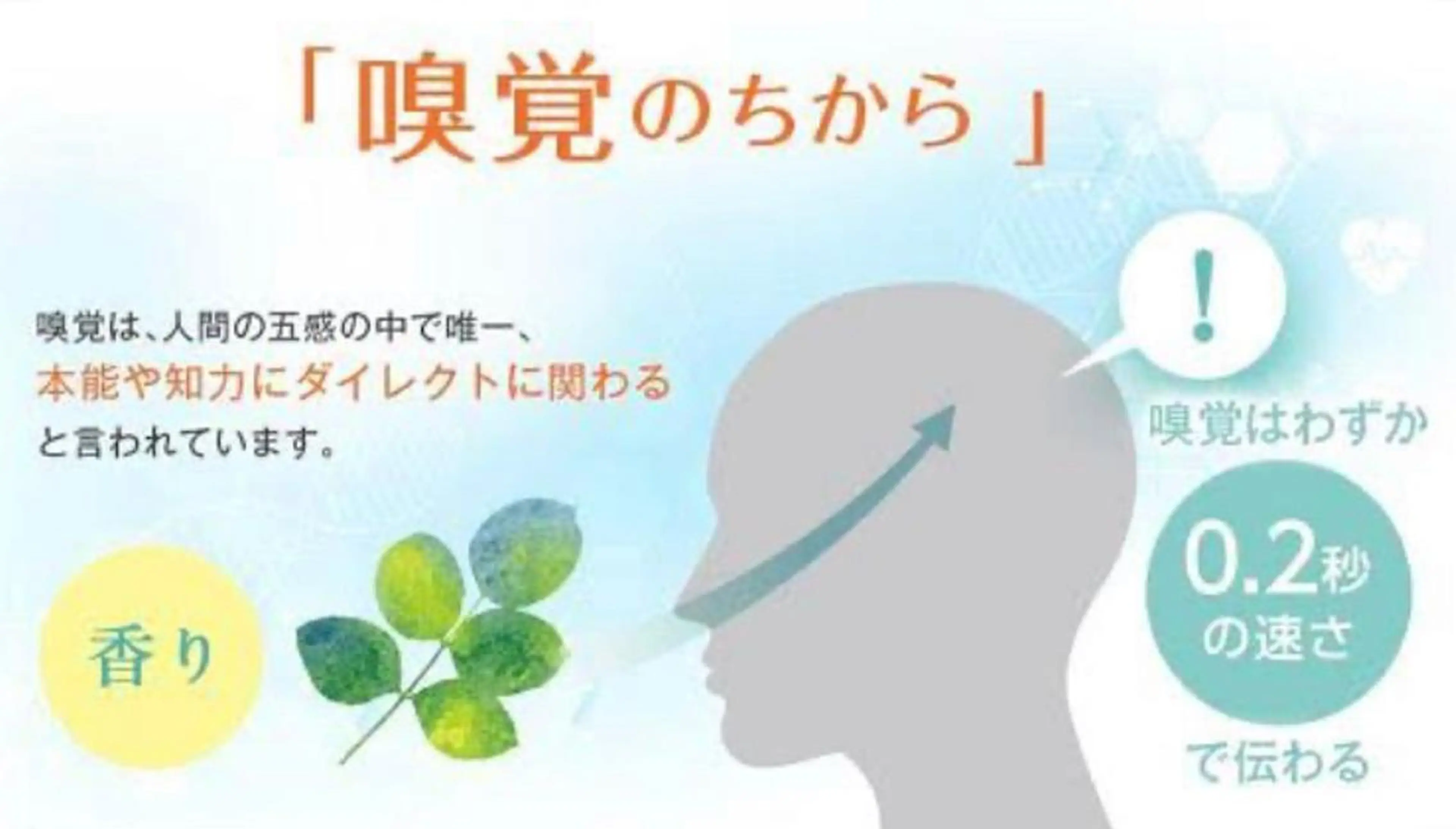 Bellferna所属・セラピスト杉山🌿 日暮里店のエステ・リラクイメージ