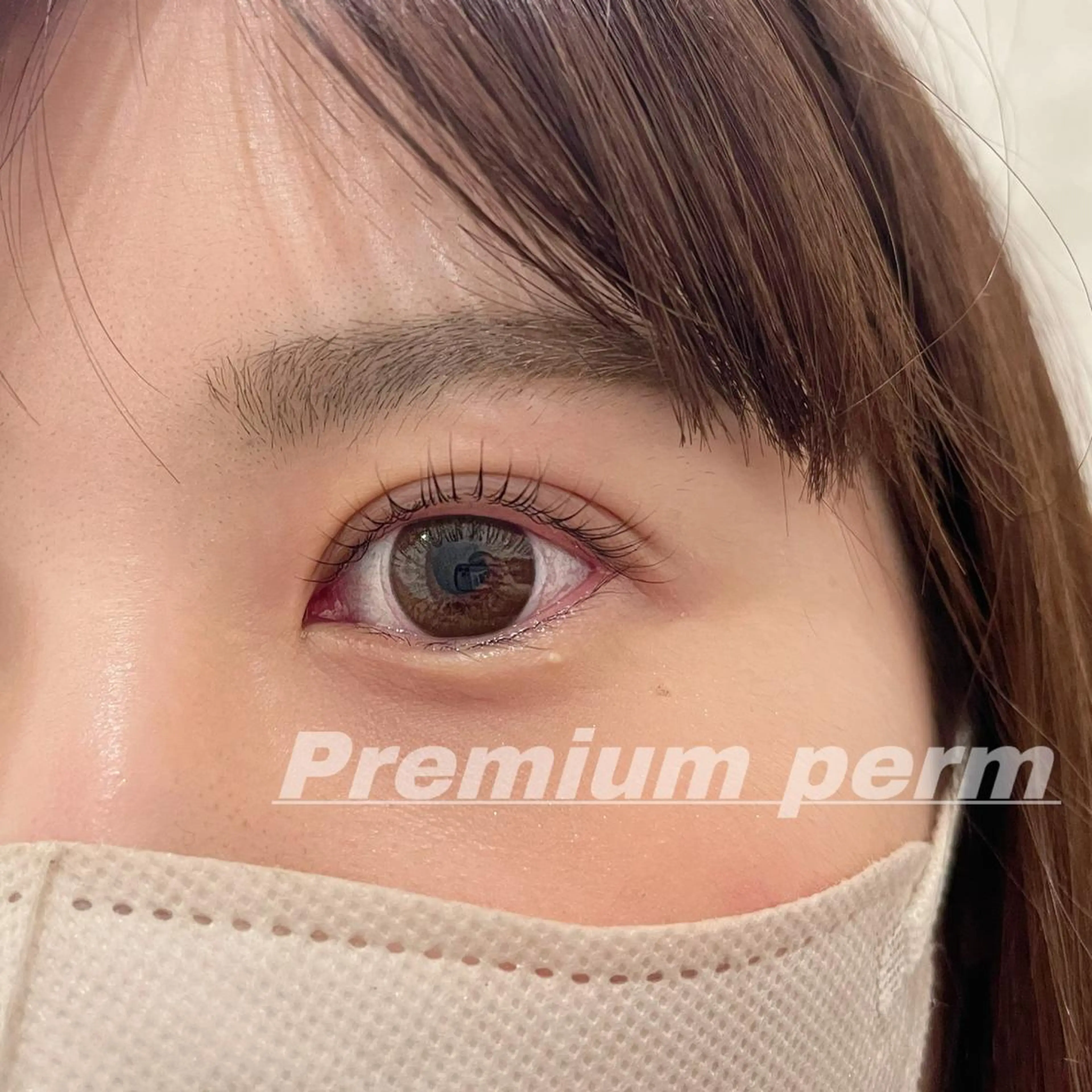 マツエク・マツパ 一重×まつ毛パーマ マツパ Eye ELSA lash栄店の眉毛・アイブロウイメージ