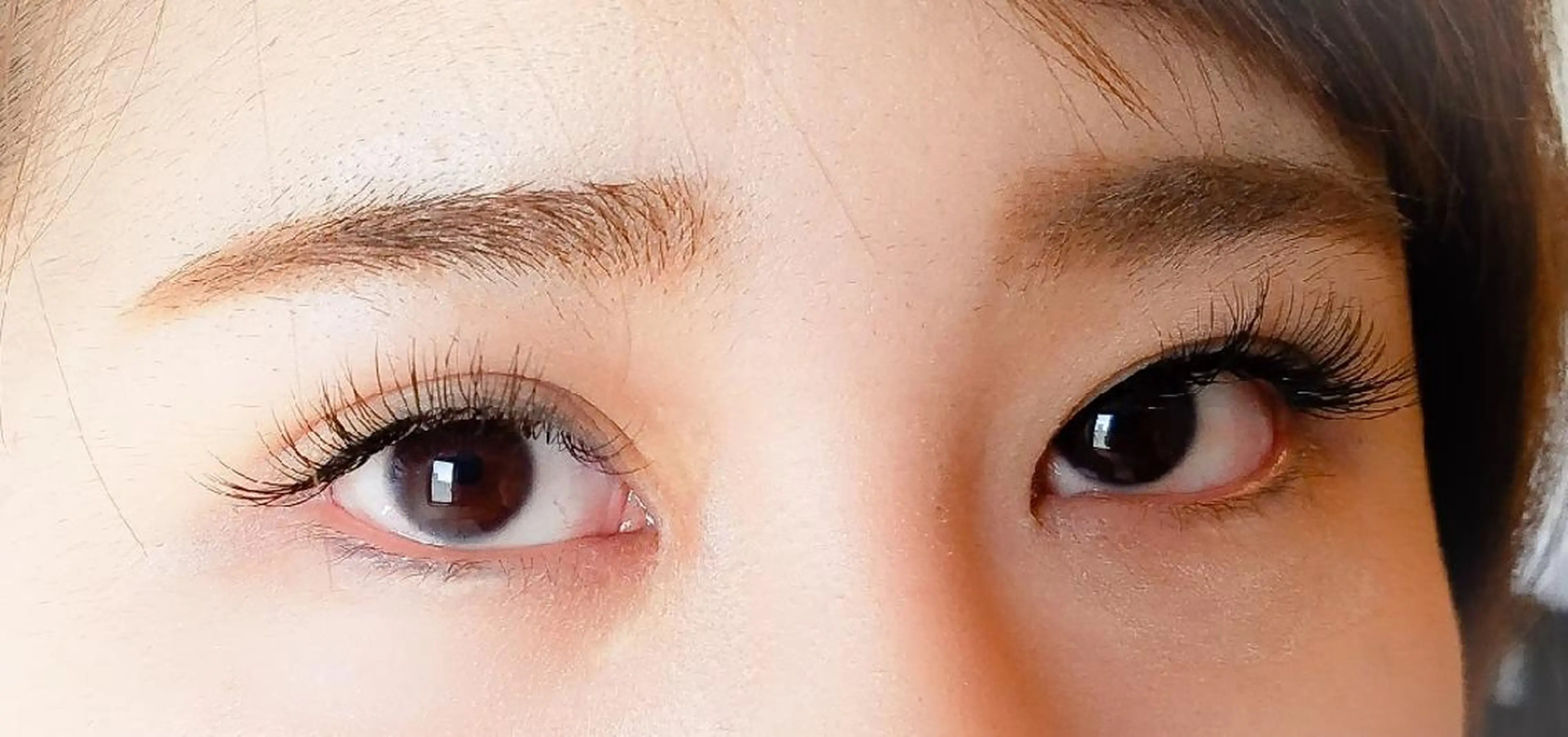 マツエク・マツパ アップワードラッシュ アイラッシュ コペル【Copel】所属・個室サロンcopel 　kishimotoのマツエク・マツパデザイン