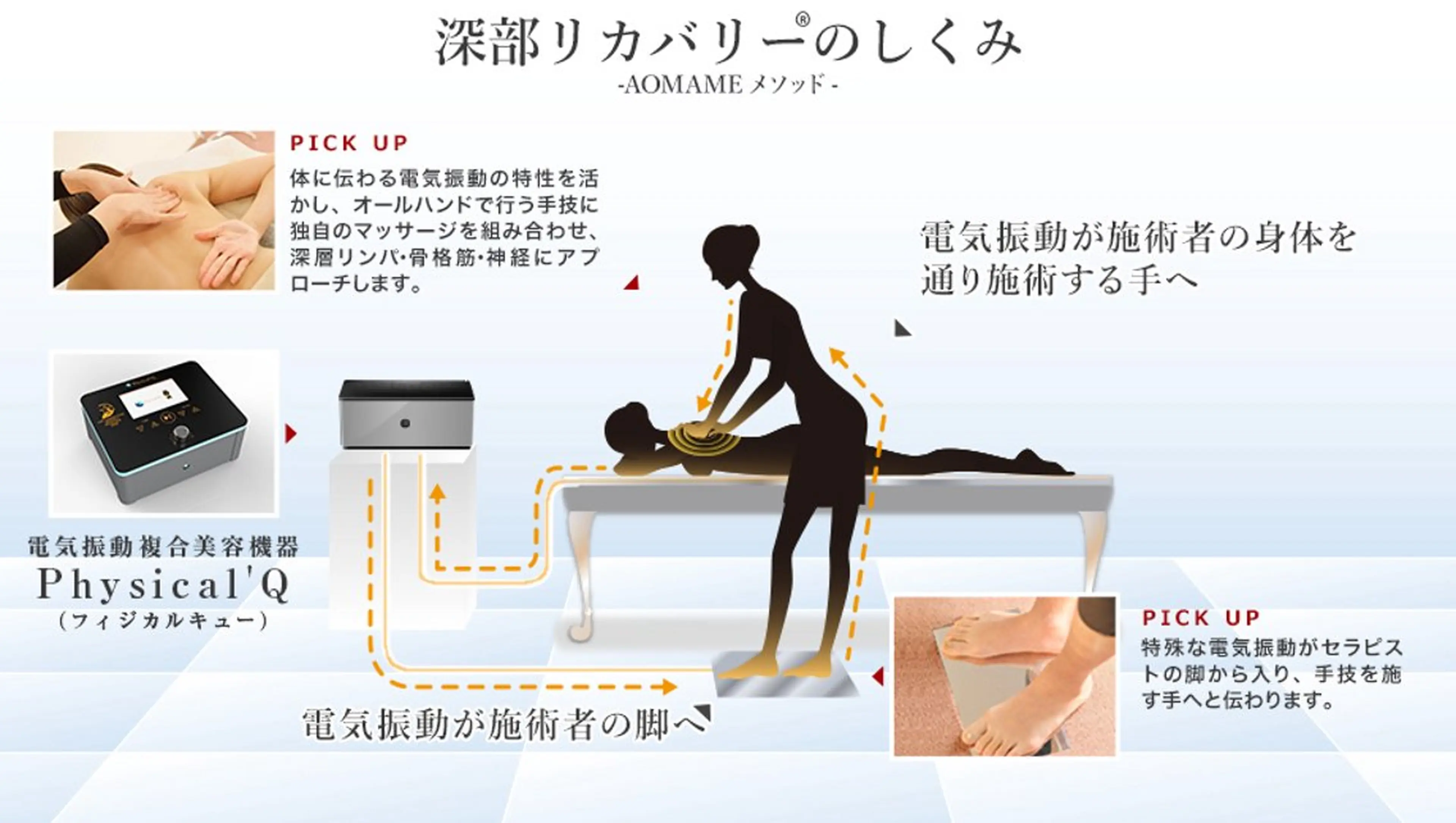 モニター様 ２回目以降の写真