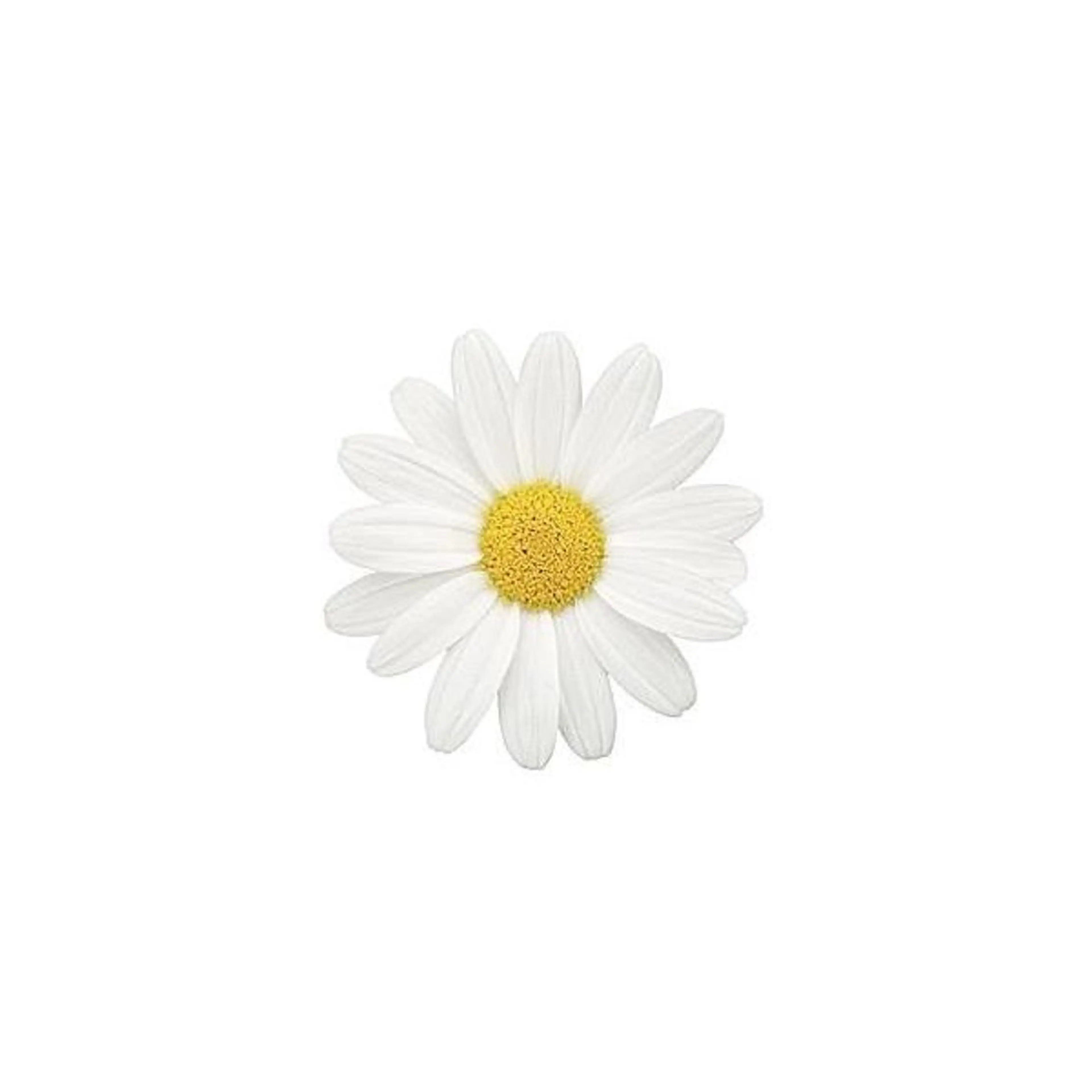 〈 オフ込み 〉ワンカラーSETの写真