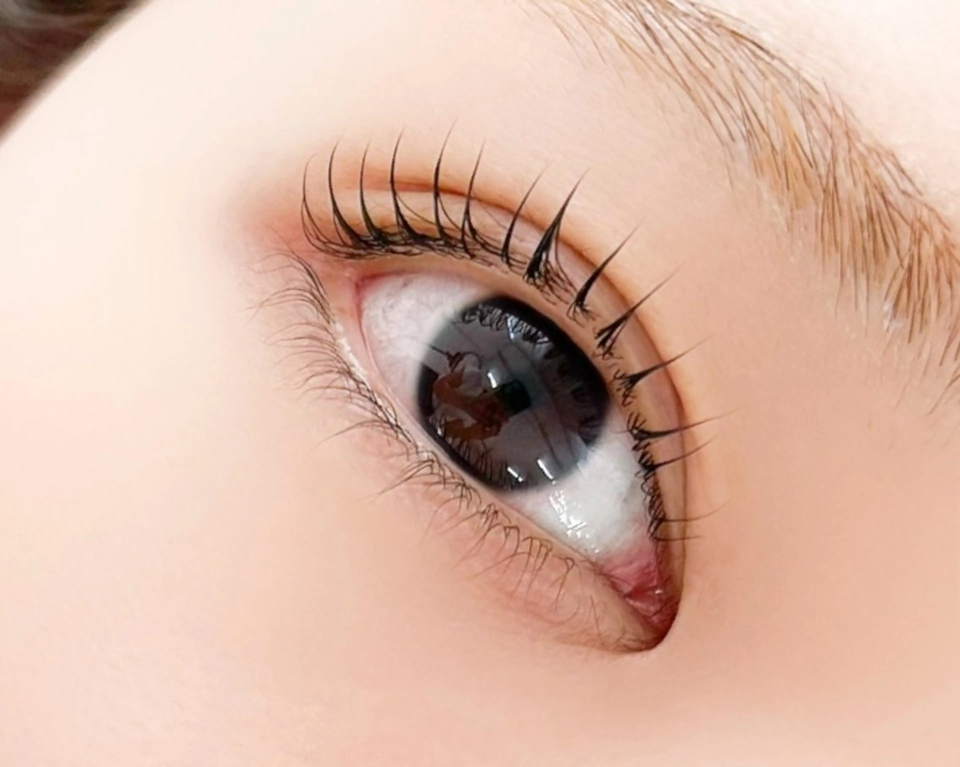 マツエク・マツパ Unknown ちひろのマツエク・マツパデザイン