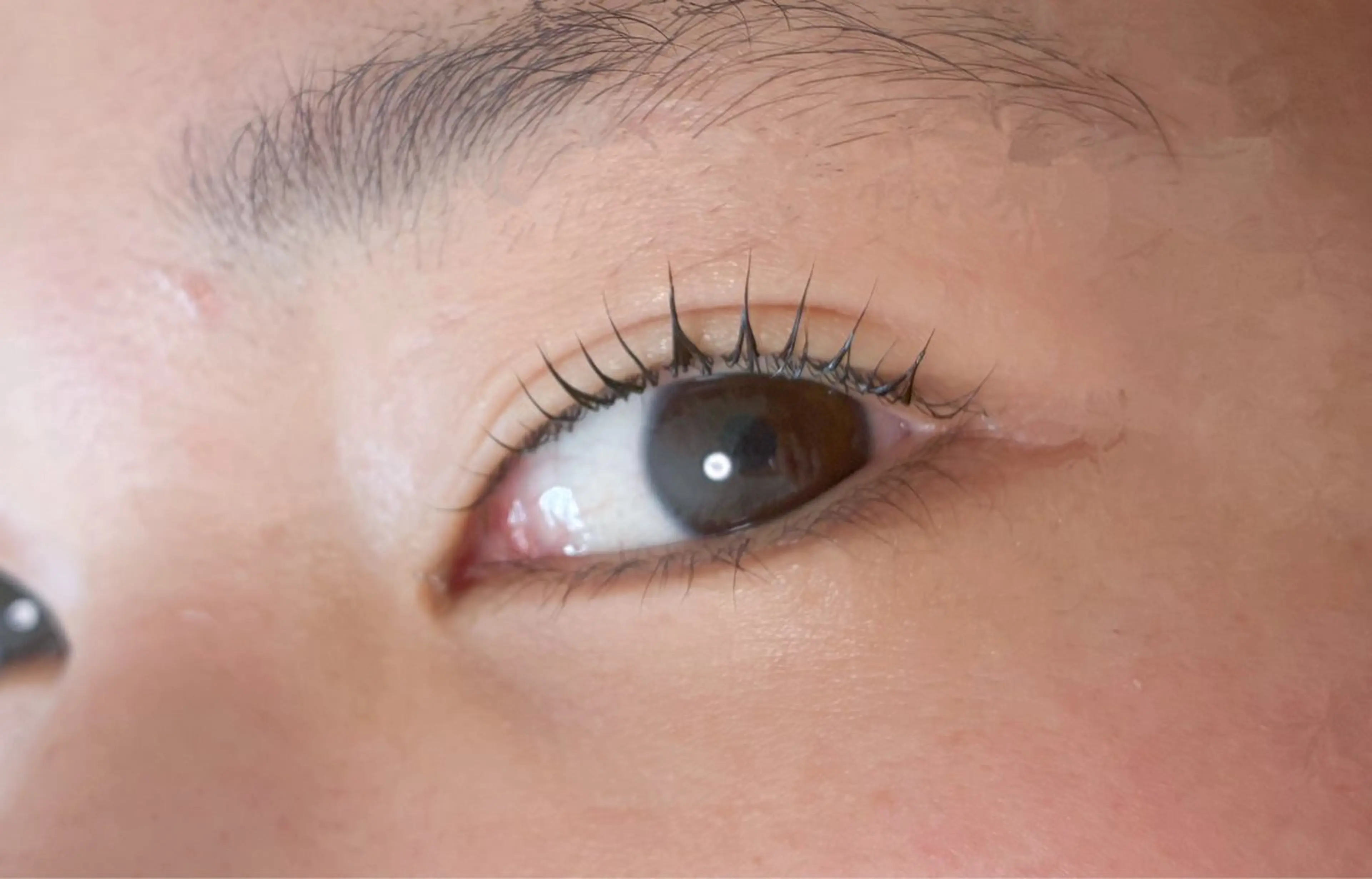 パーマ マツパ eyelash/ Coaのマツエク・マツパデザイン