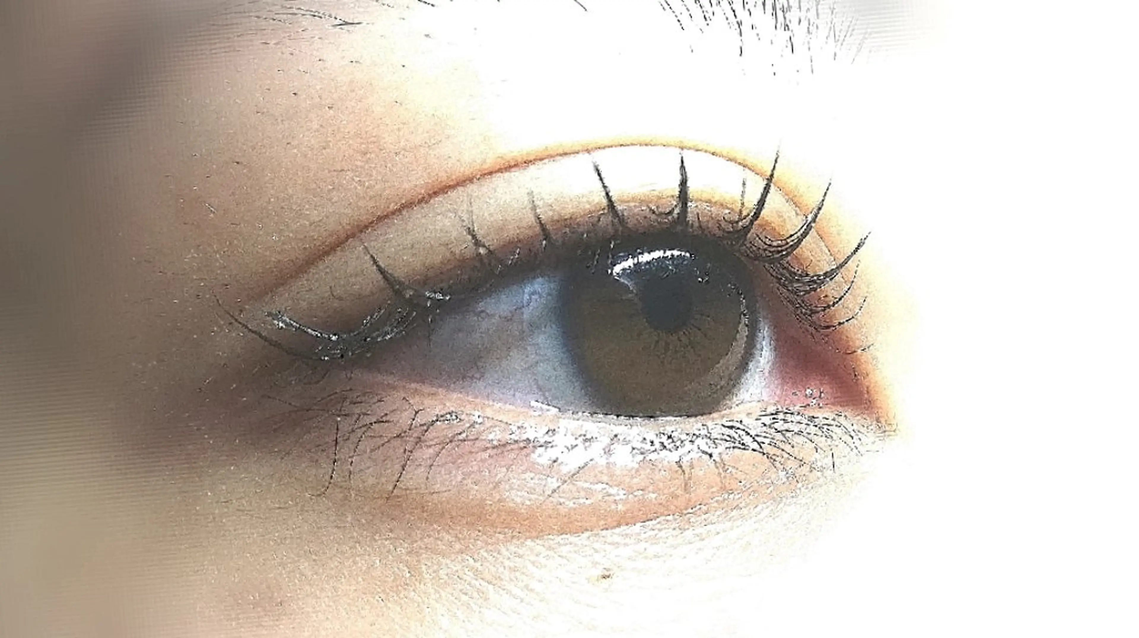 マツエク・マツパ Dカール マツパ angelux 所属・完全個室サロン🌹 angelux🌹のマツエク・マツパデザイン