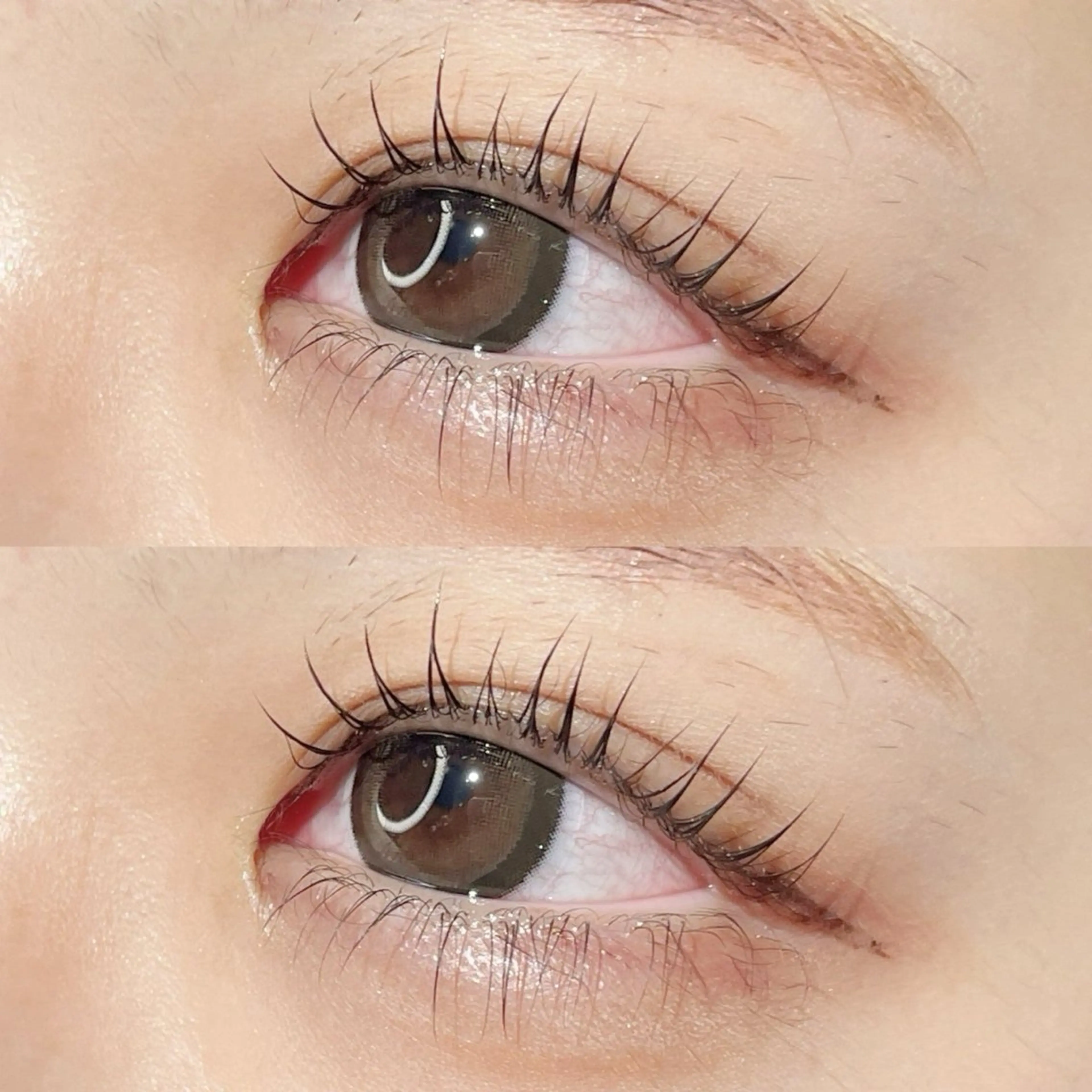 《🫧2回目以降🫧》 まつ毛パーマ🫶(アイシャンプー+美容液コーティング・束感仕上げ🌼*・)の写真