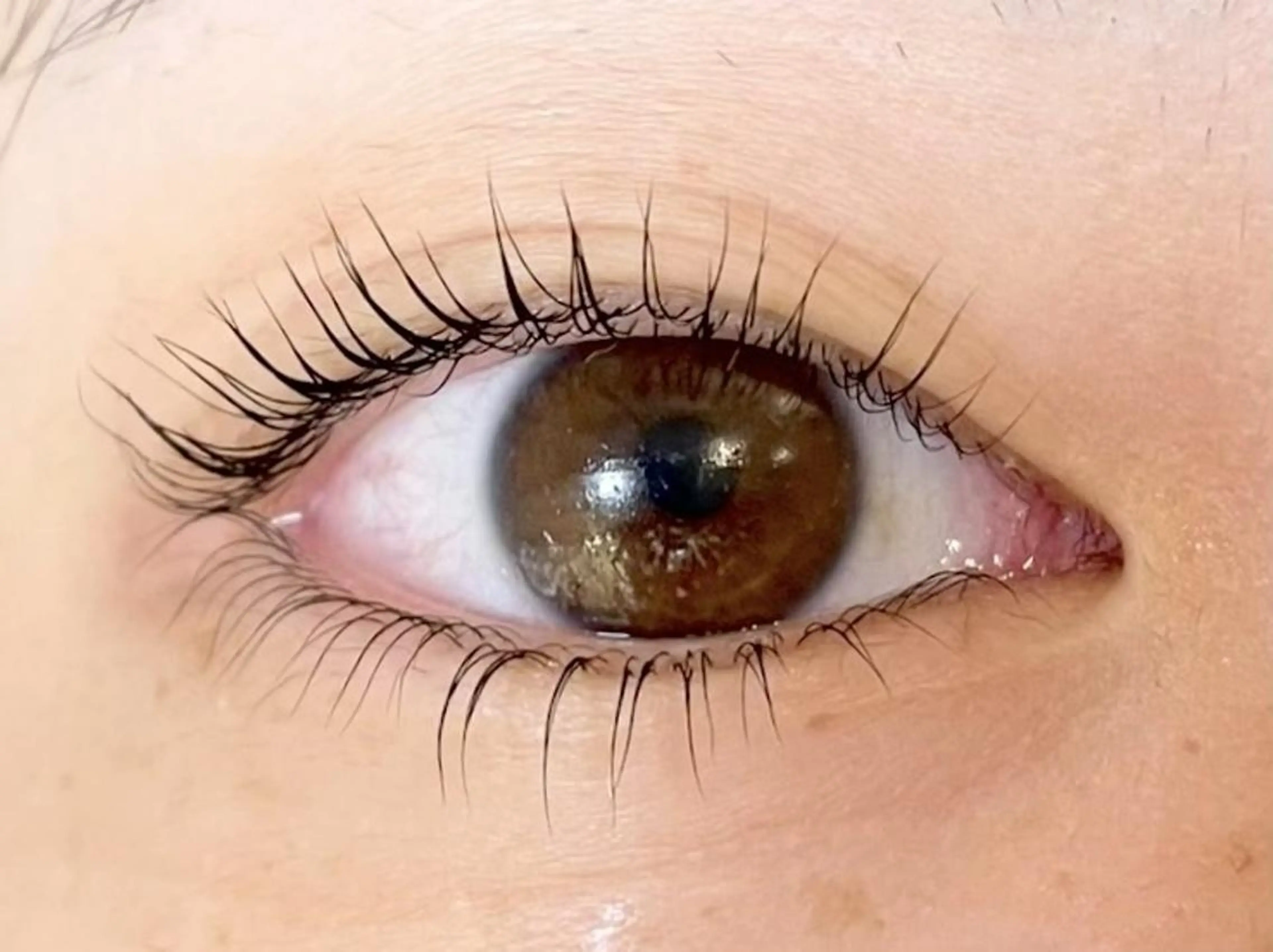 似合わせまつげパーマorパリジェンヌラッシュリフト【上下】￥8,000→¥7,000の写真