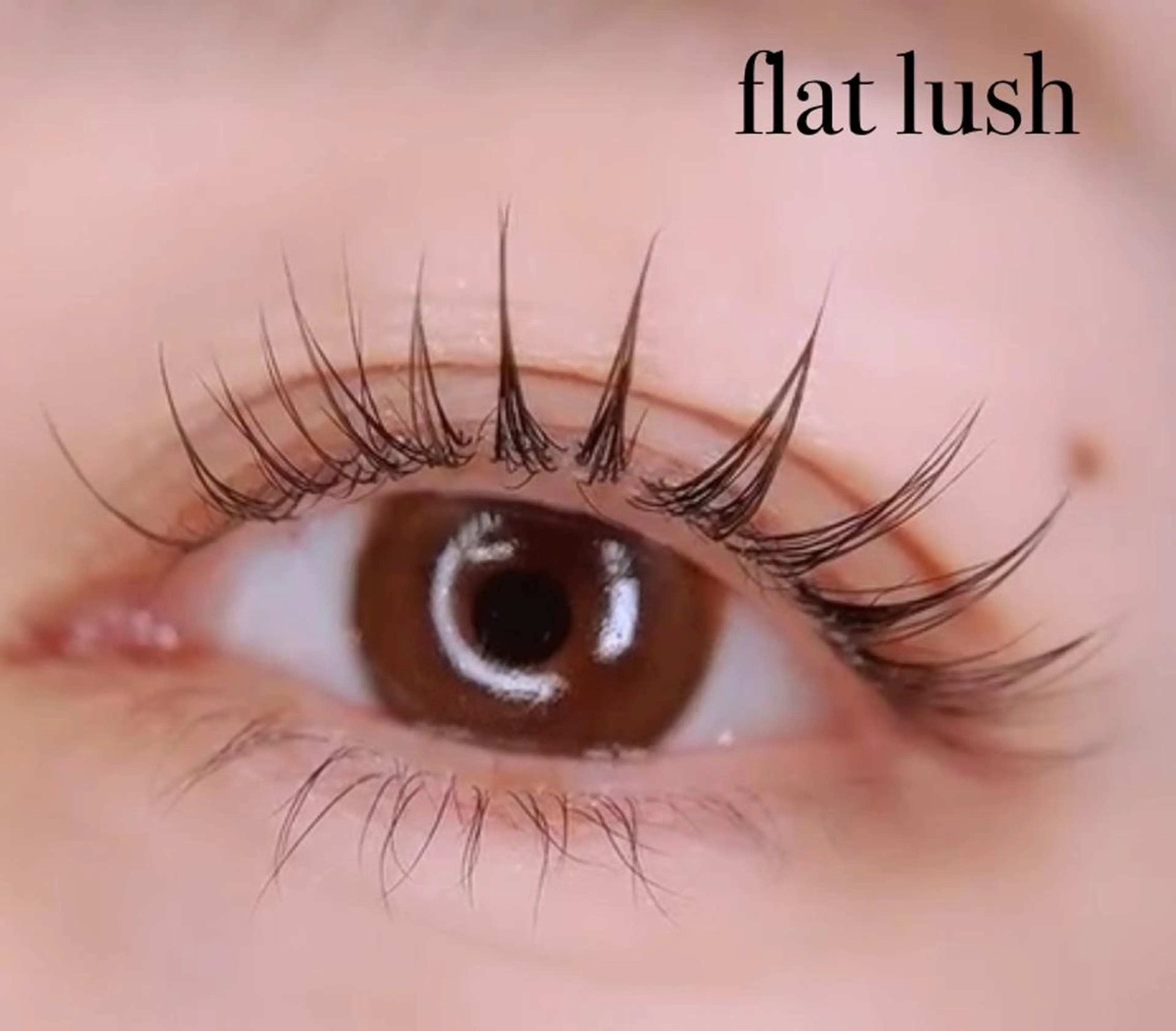 💕ちょい足しにお勧め💕フラットラッシュ🖤30分リペア(約45本前後)の写真