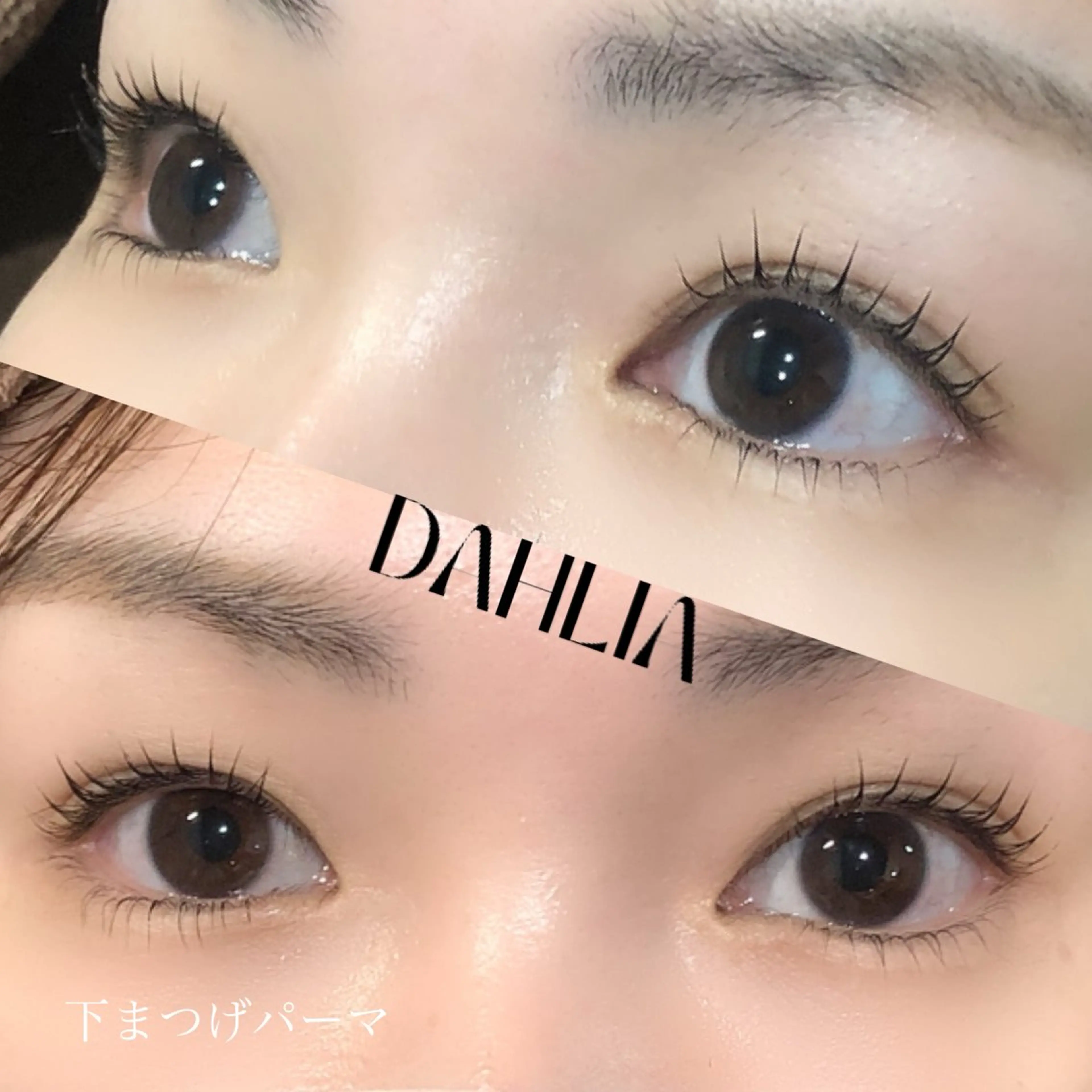 マツエク・マツパ まつげパーマ 下まつげエクステ Dahliaダリア 斉藤のマツエク・マツパデザイン