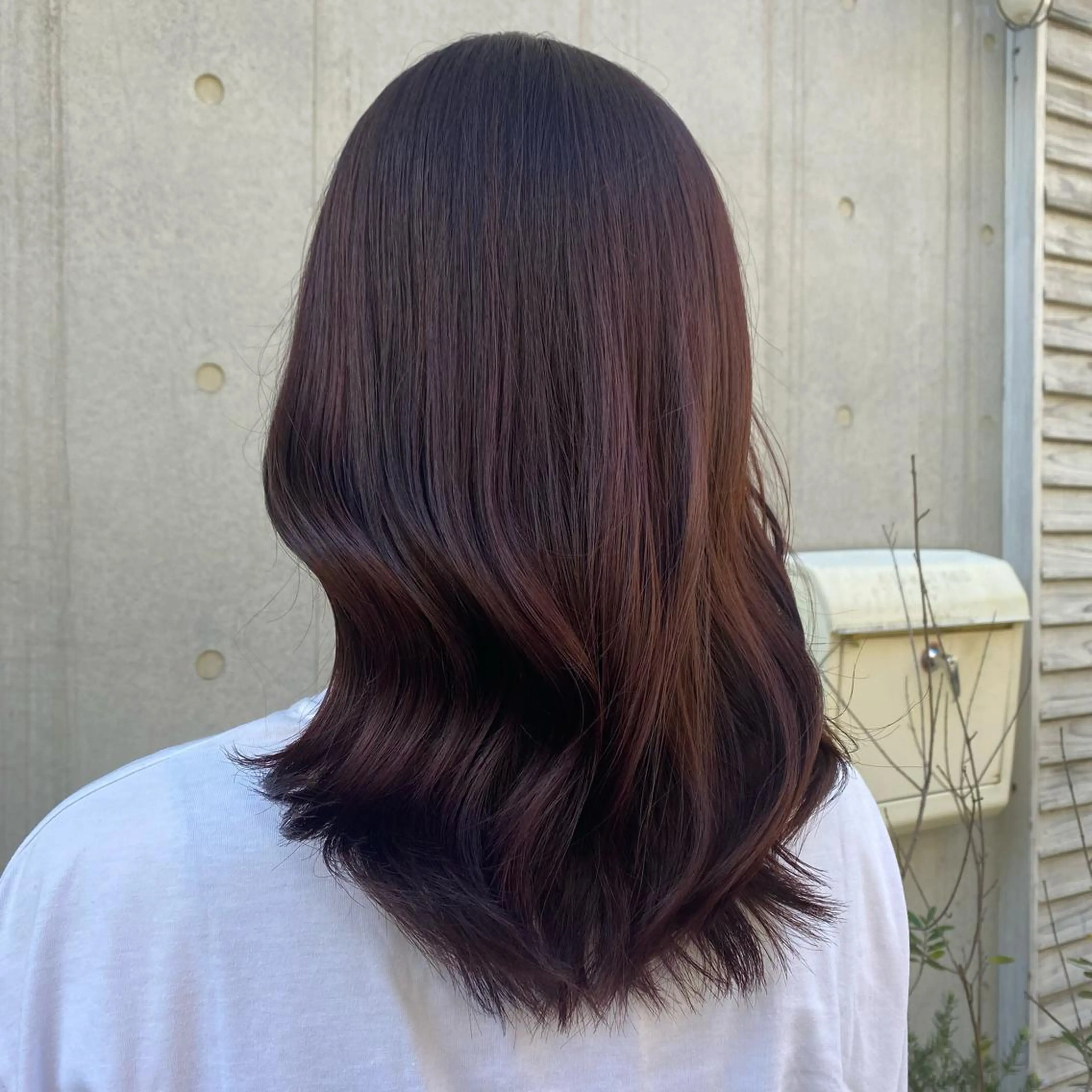 ミディアム カラー 🪭risa 暖色/レイヤー🪭のヘアスタイル