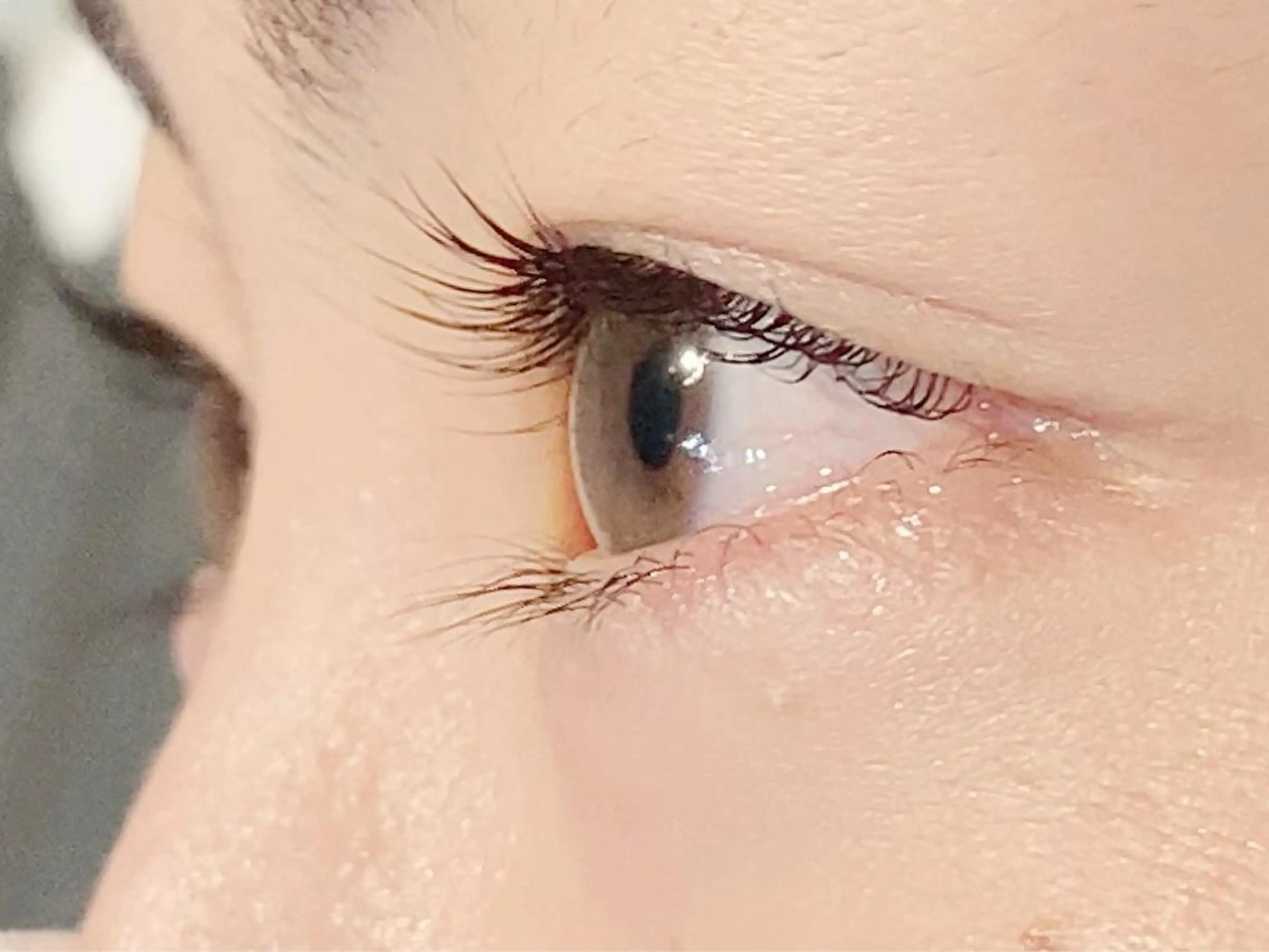 マツエク・マツパ パリジェンヌラッシュリフト マキノ サヤカのマツエク・マツパデザイン