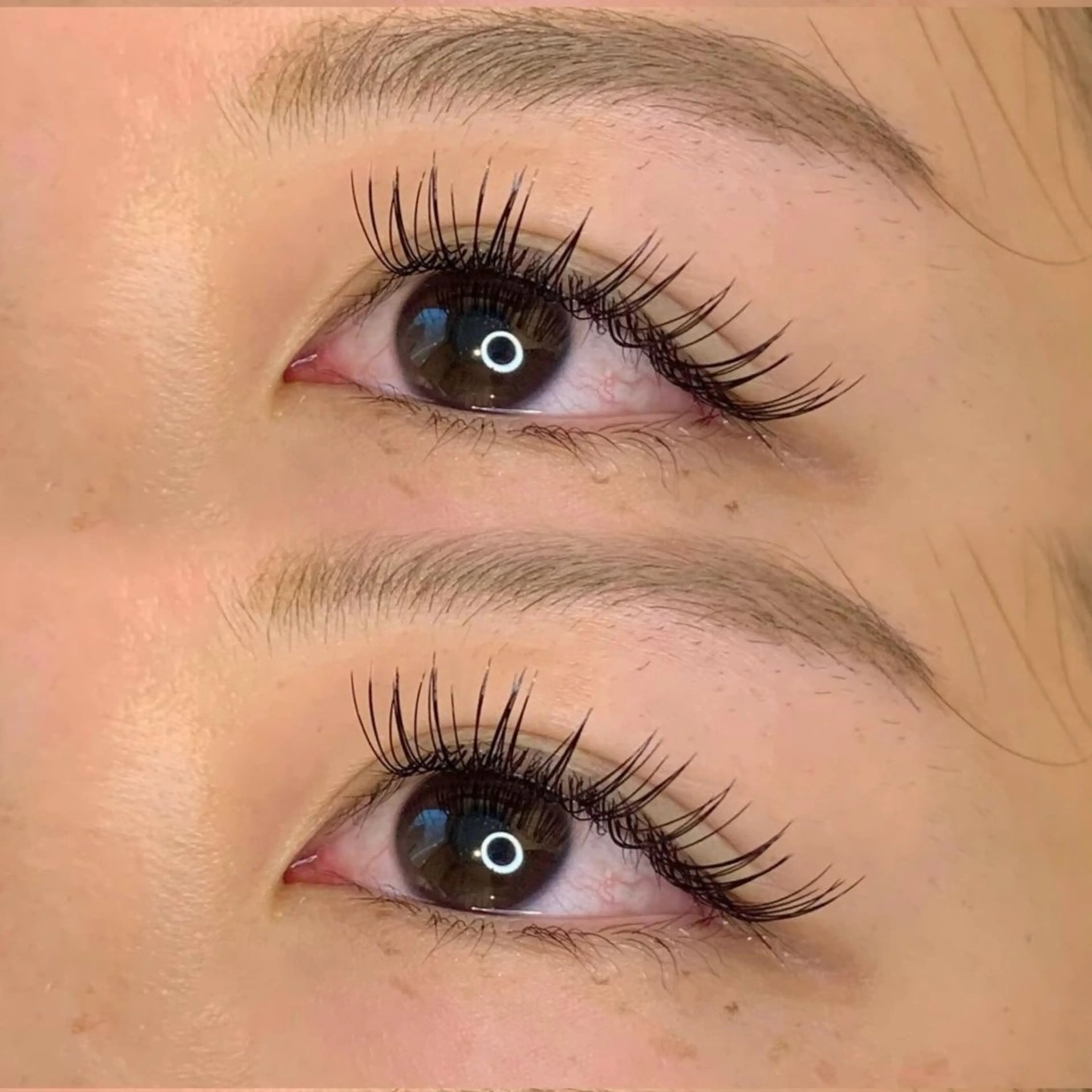 【新規】学割U24 平日限定🫧フラットラッシュ80本の写真