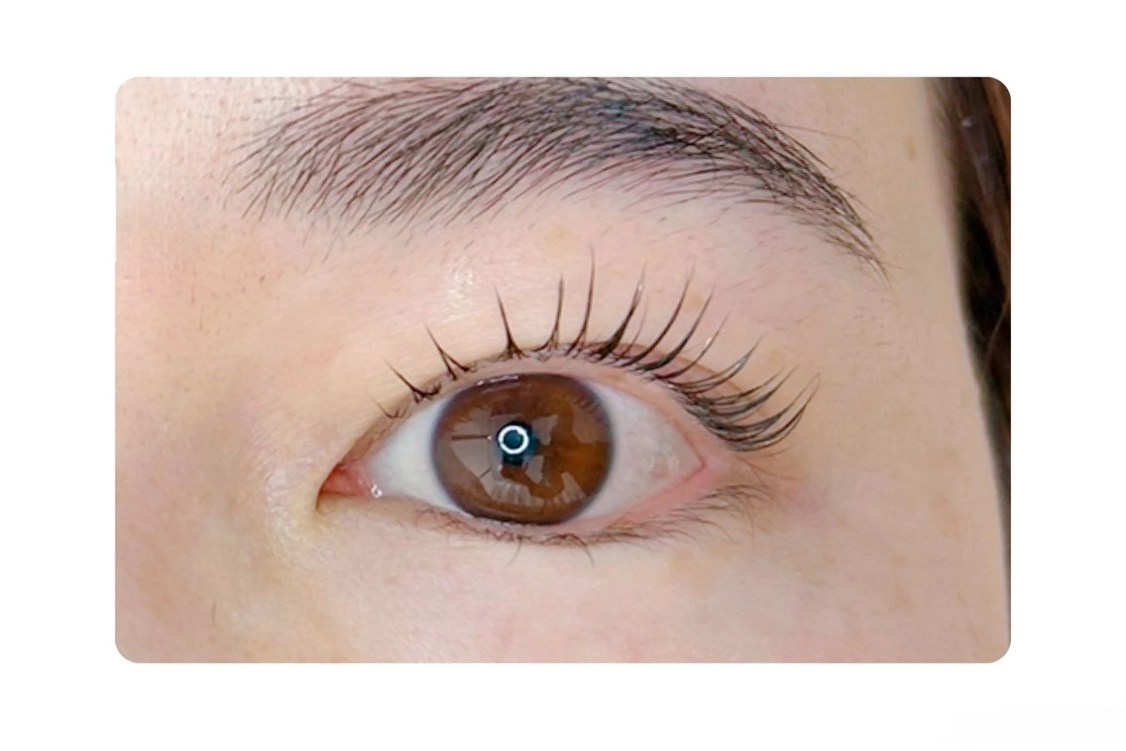 マツエク・マツパ マツパ Gluttony/ ｸﾞﾗﾄﾆｰ＊ユキのマツエク・マツパデザイン