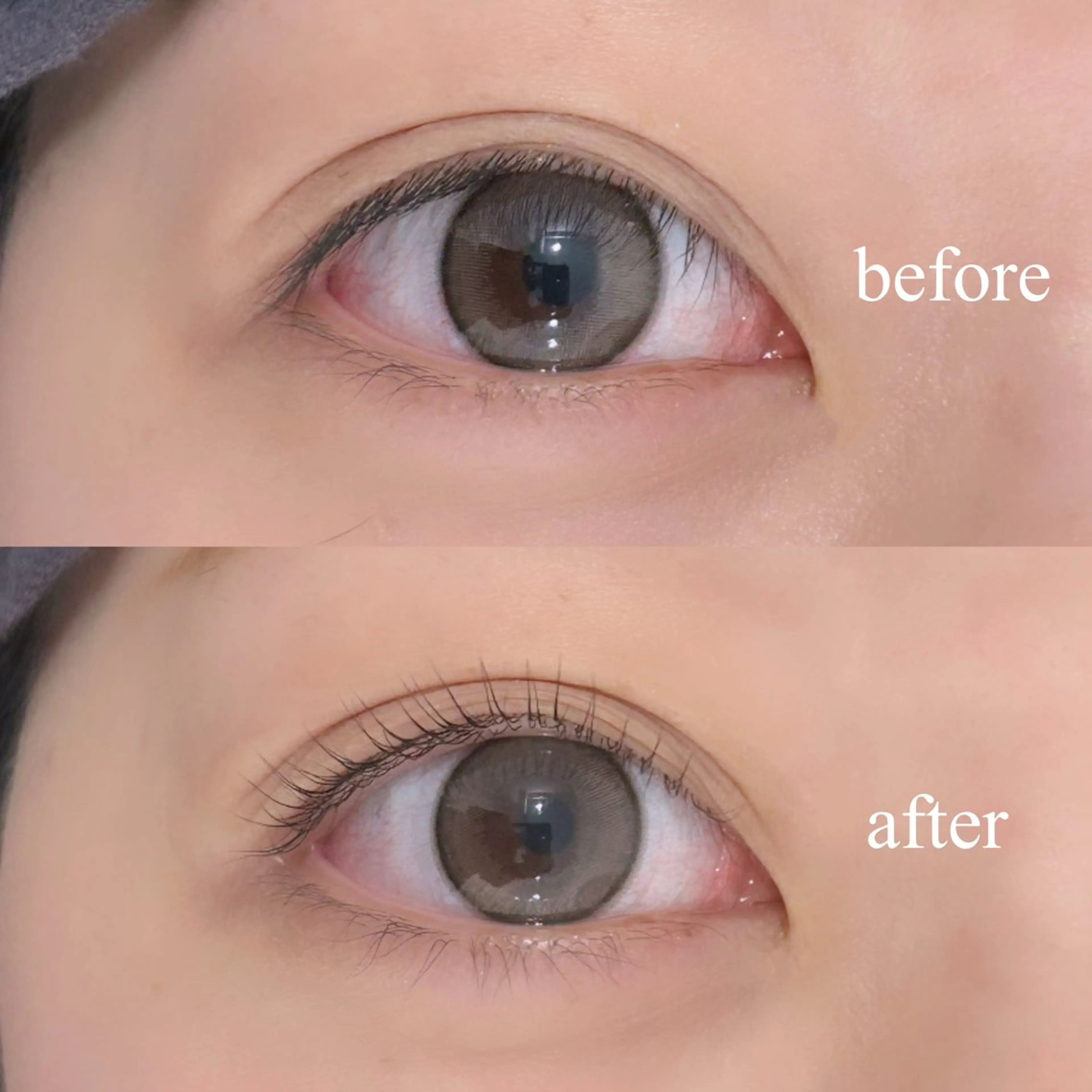 マツエク・マツパ マツパ chiri／似合わせ ×韓ドルまつ毛パーマのマツエク・マツパデザイン