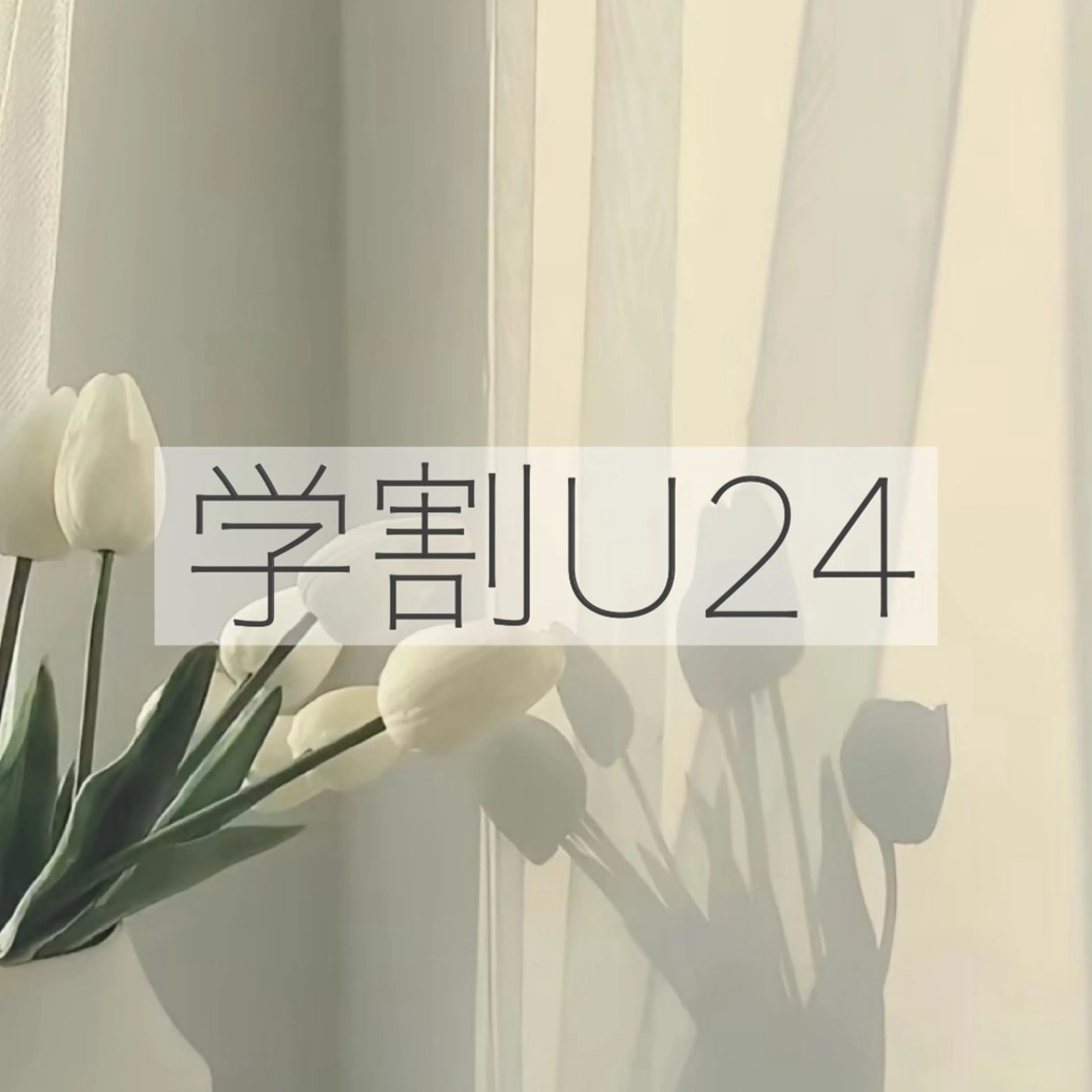 《 ミニモ学割 》rei指名限定【学生リピーター様限定🎀】  韓ドル風束感まつ毛🫧の写真