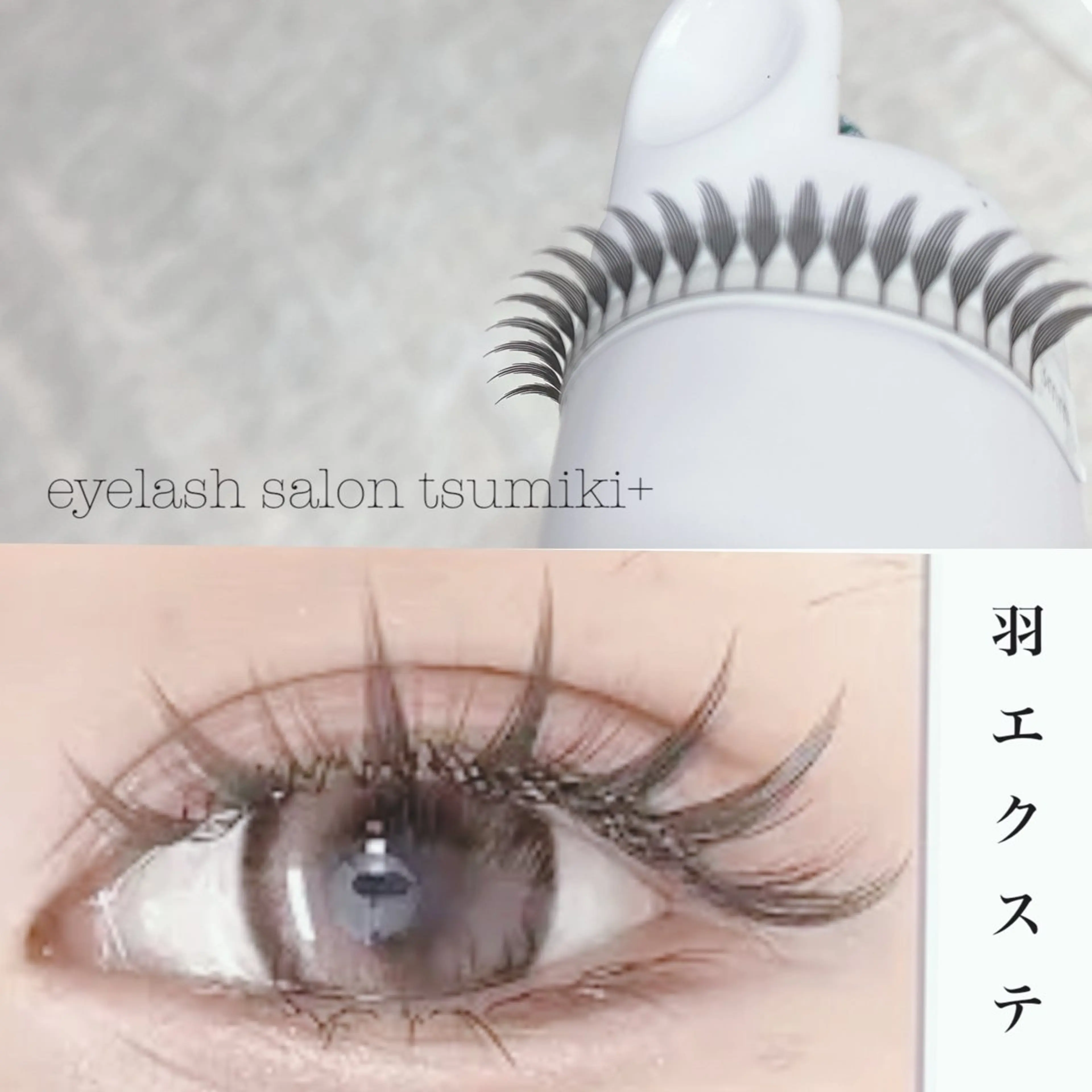 羽まつ毛エクステの写真