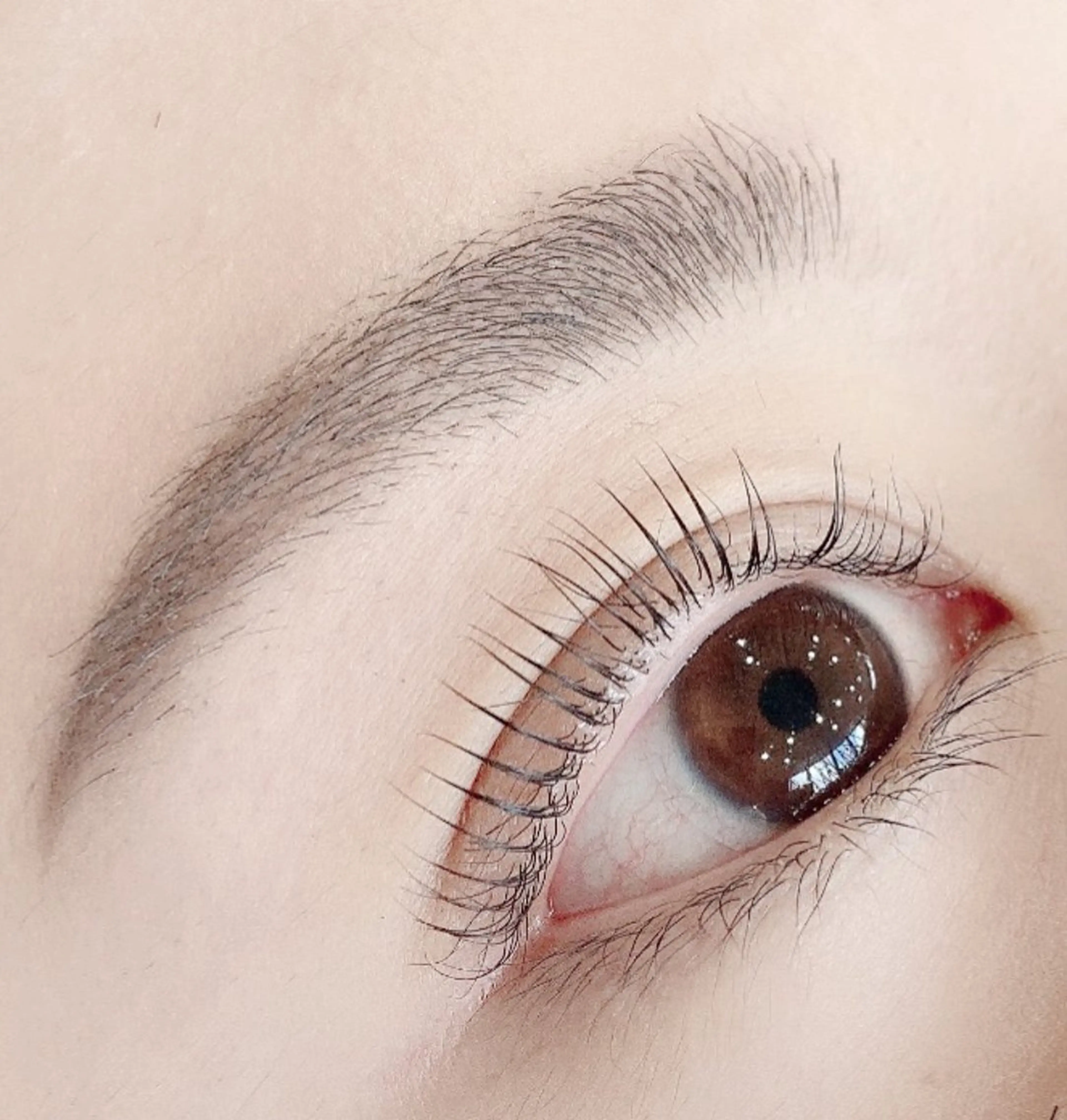 アイブロウ ✨sylph✨ MADOKA✨のマツエク・マツパデザイン
