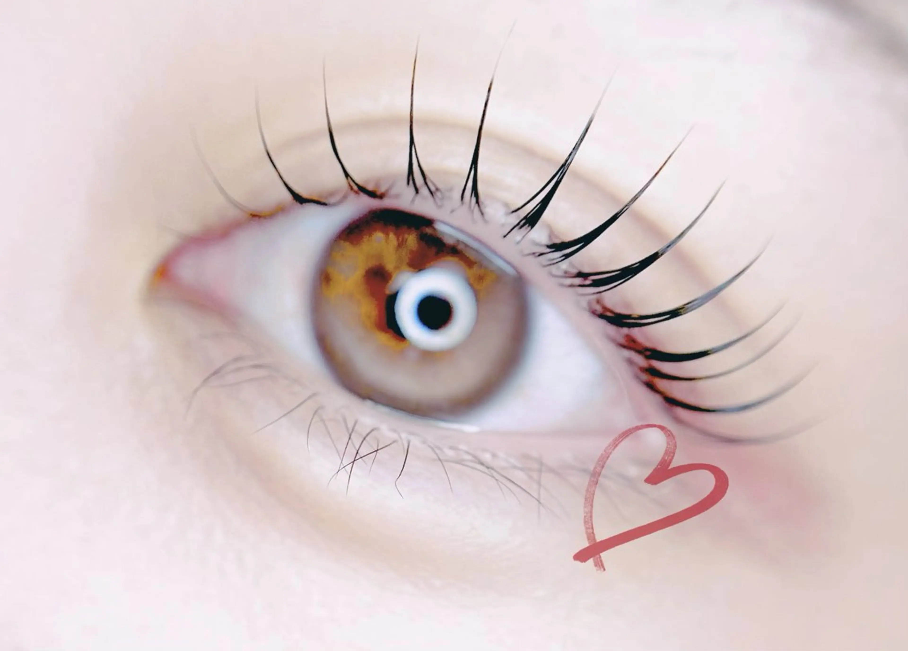 マツエク・マツパ マツパ 🎀eyelist. mizuki🐈‍⬛のマツエク・マツパデザイン