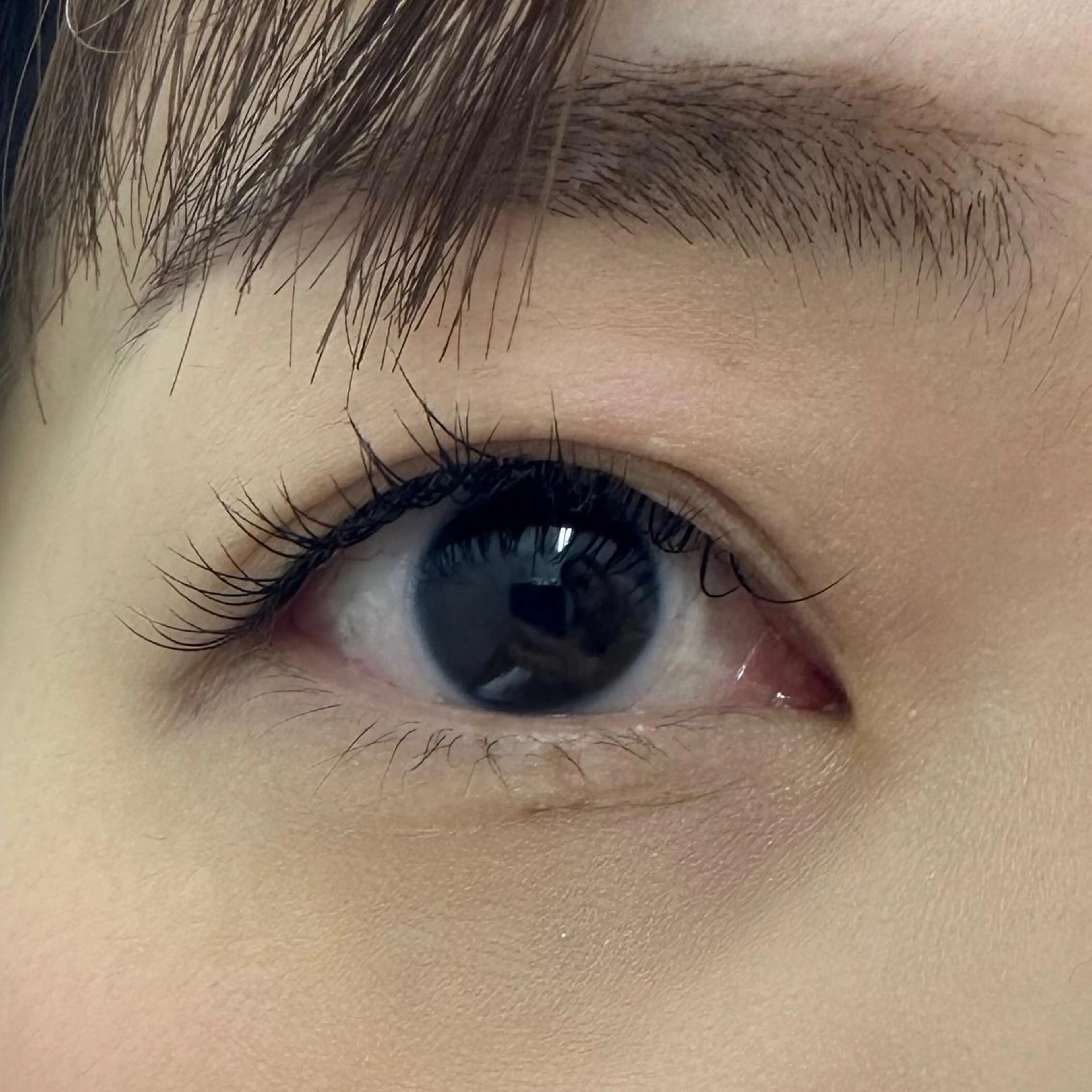 マツエク・マツパ Cカール Miyu🦄ash メンズカット/まつげのヘアスタイル