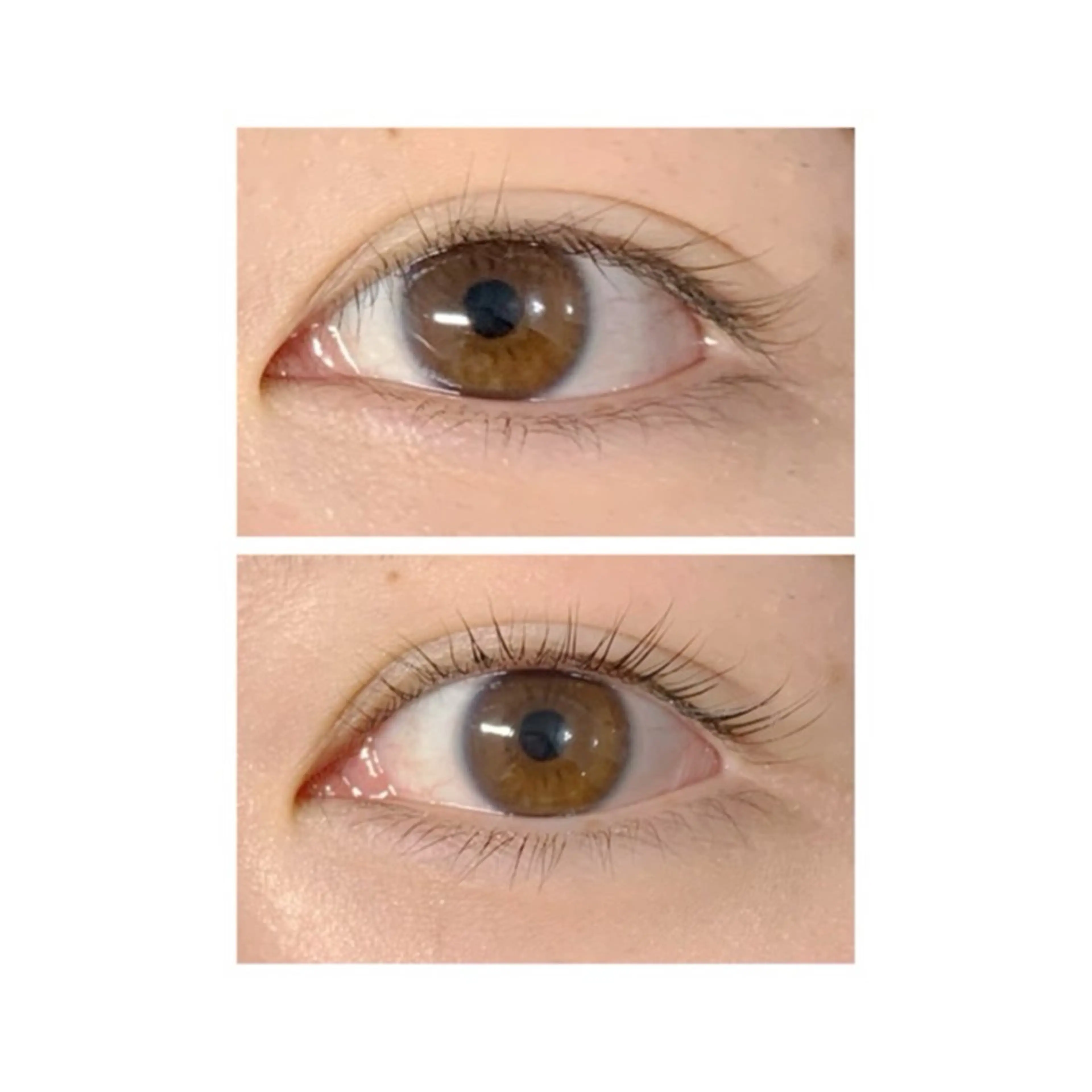 マツエク・マツパ Luz町田店 工藤の眉毛・アイブロウイメージ