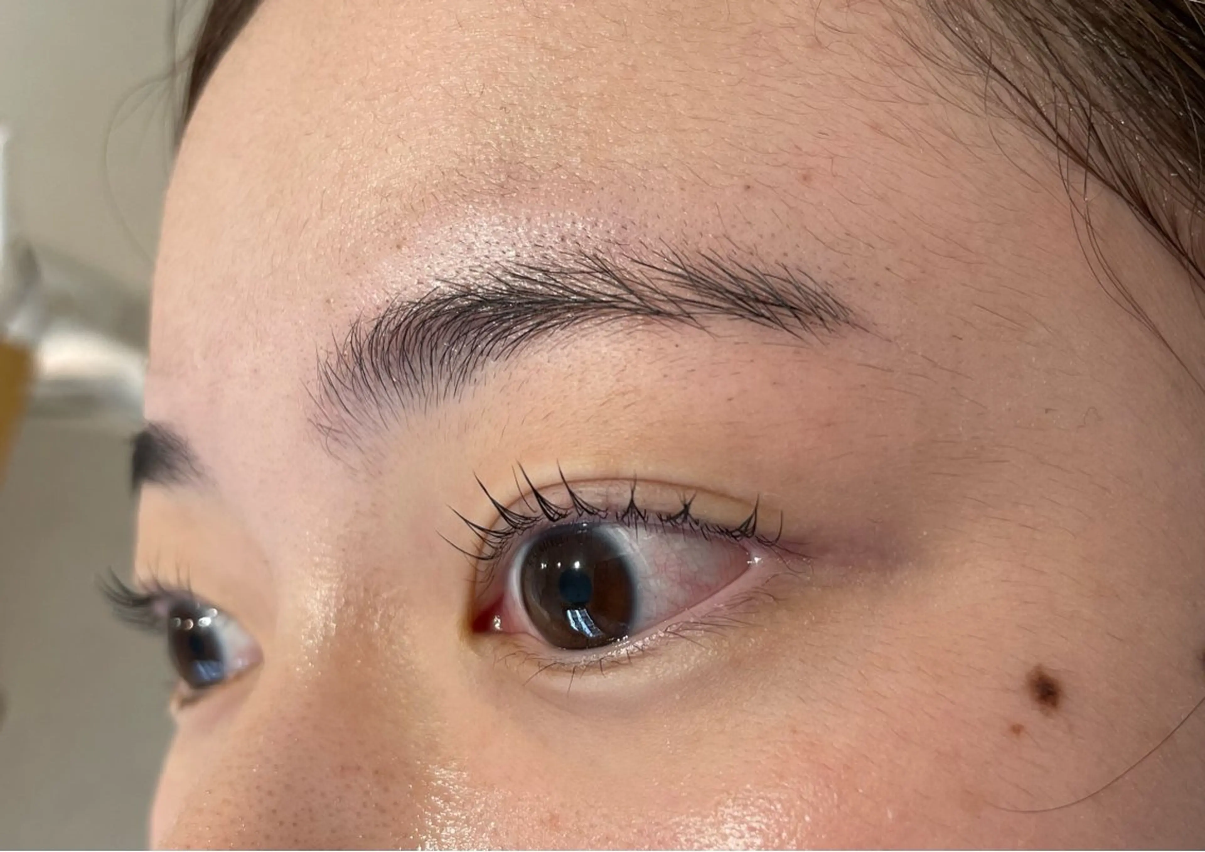 マツエク・マツパ マツパ Dealo京橋店所属・シノ🌿 / Dealo京橋店のマツエク・マツパデザイン