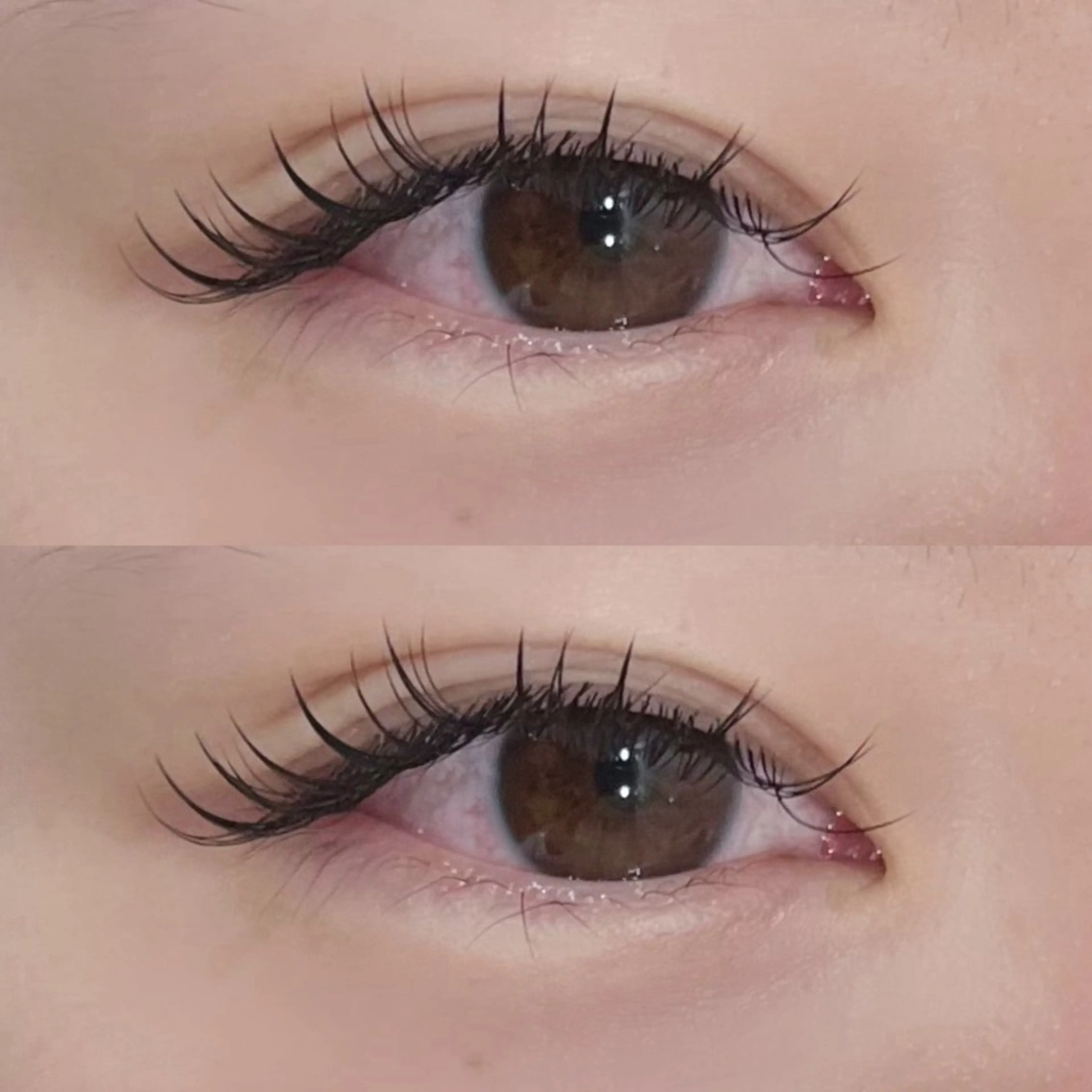 当日予約❗️✦.°LEDフラットラッシュ140本🎀【オフなし】の写真