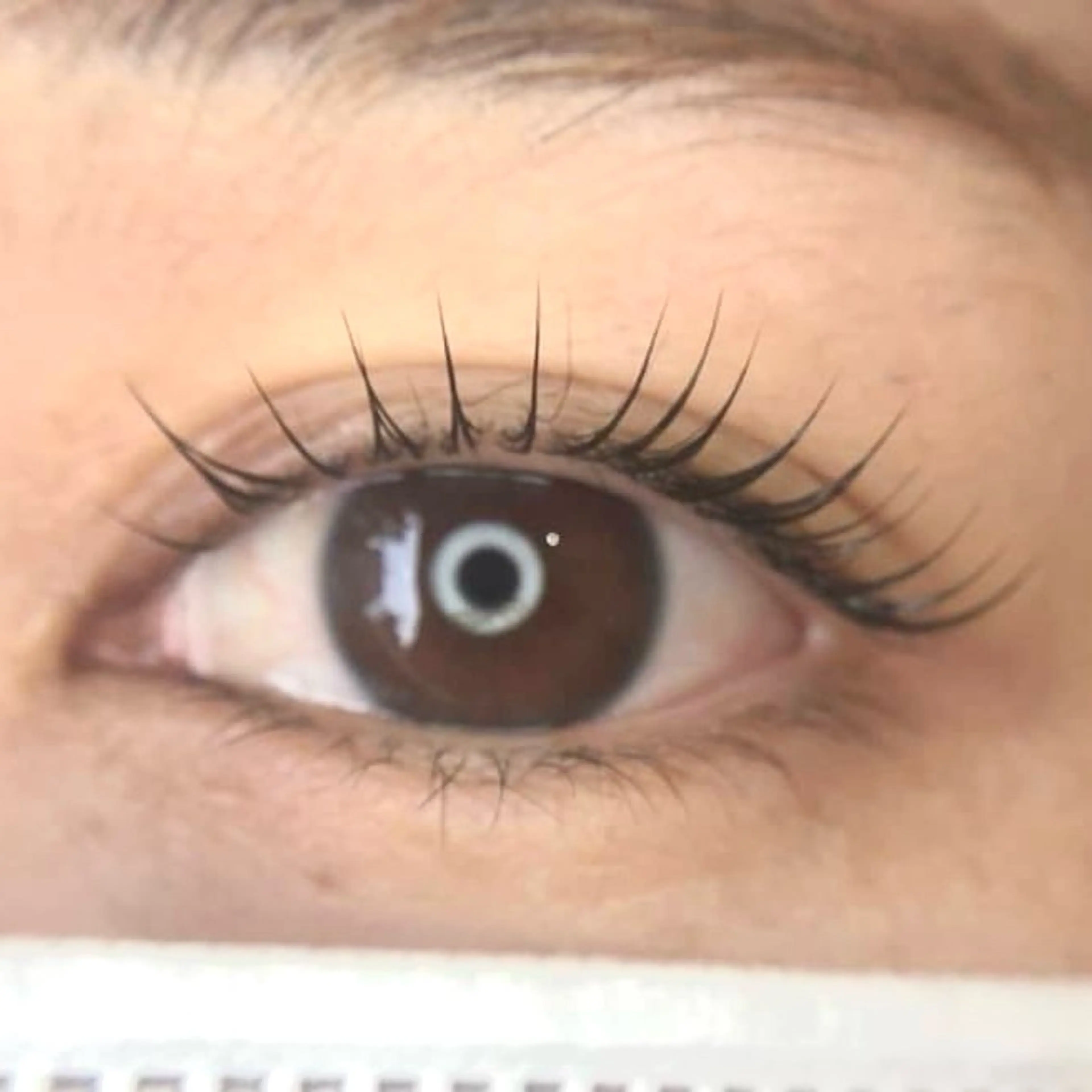 マツエク・マツパ 一重×まつ毛パーマ メゾンドシャルム NISHIKAWAのマツエク・マツパデザイン