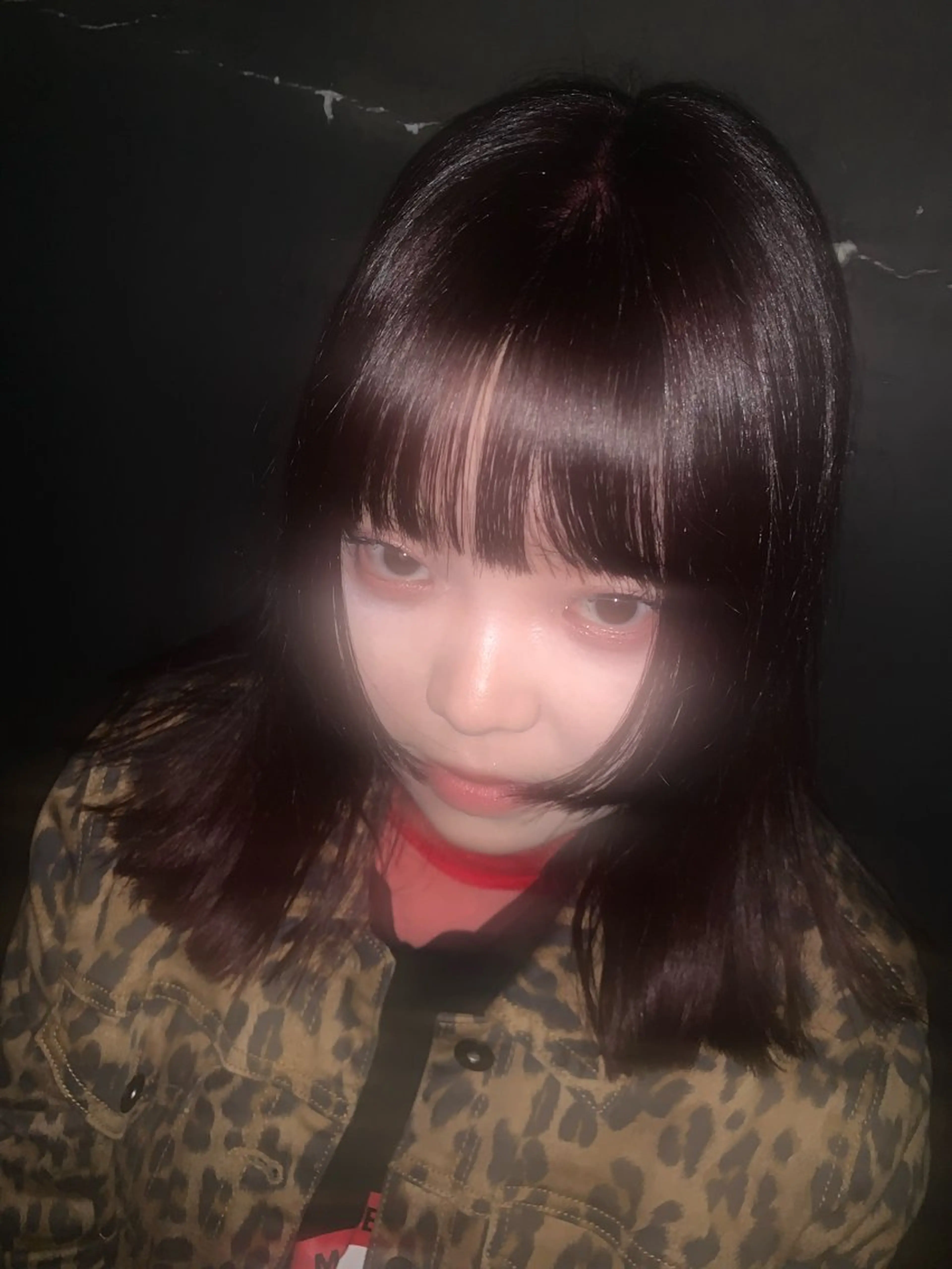 セミロング カラー レッドカラー 姫カット ヘアカラー トリートメント THE./ブリーチ 透感カラー/髪質改善のヘアスタイル