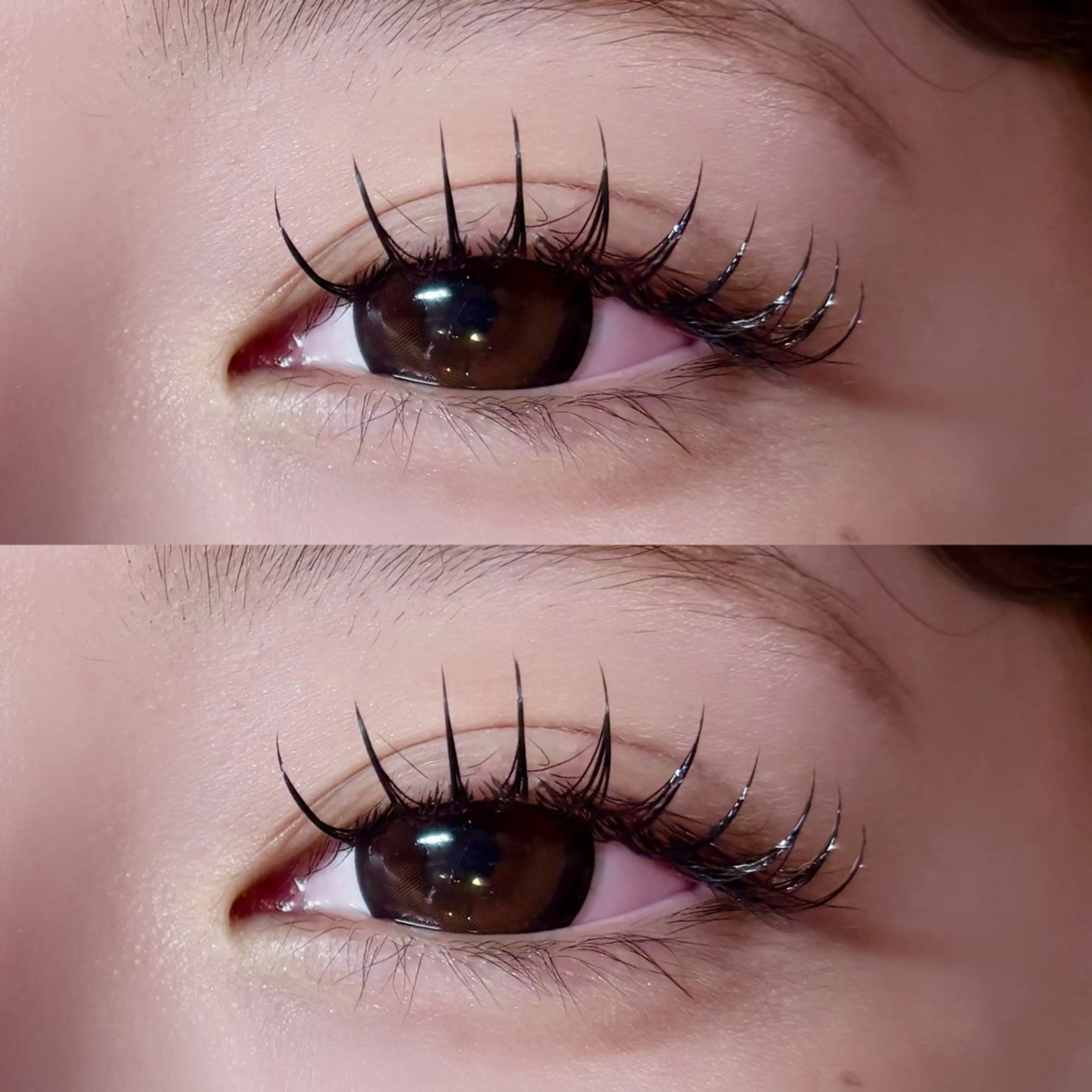 🐣フラットマットラッシュ 120本🐣の写真