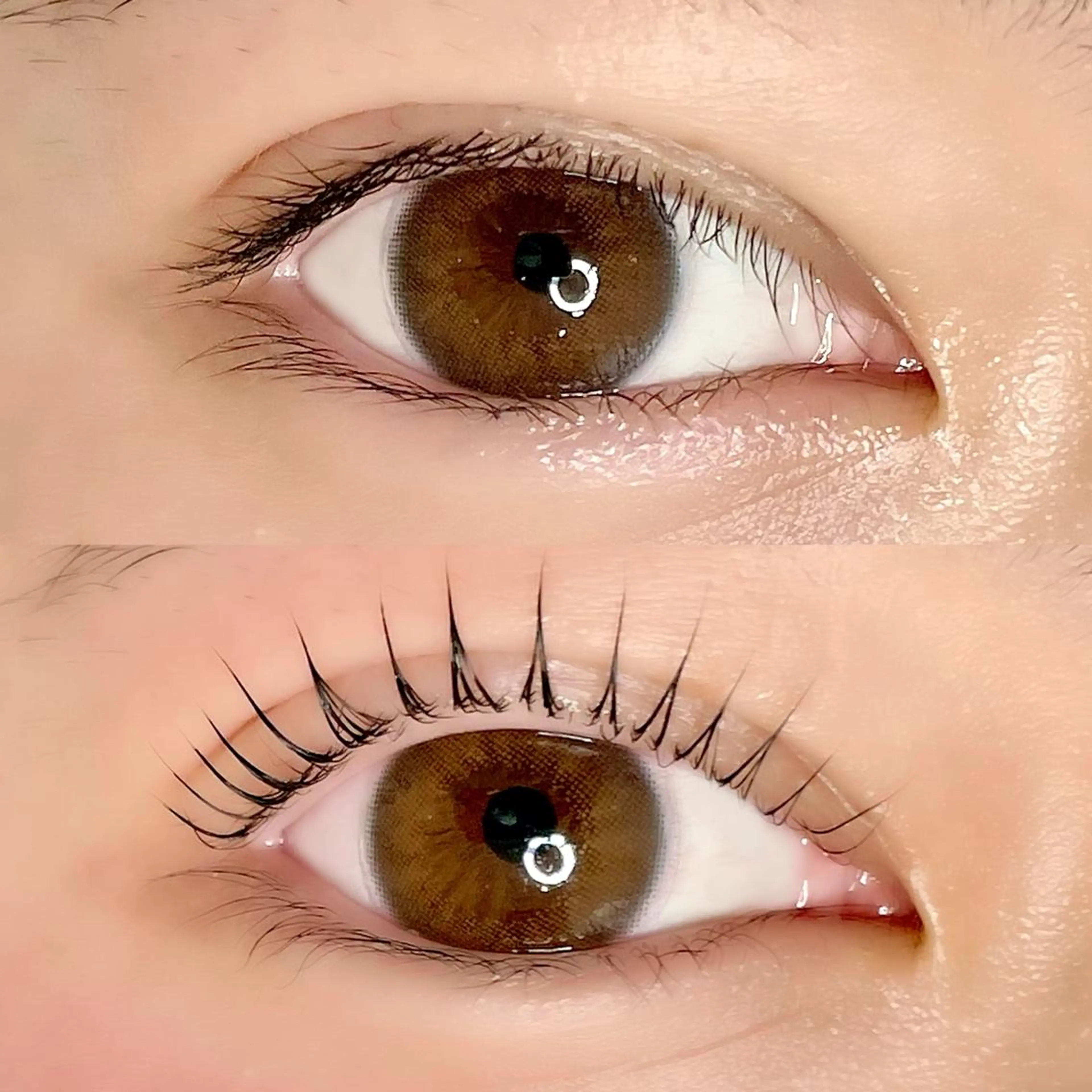 マツエク・マツパ AYLASH🧡 猪又のマツエク・マツパデザイン