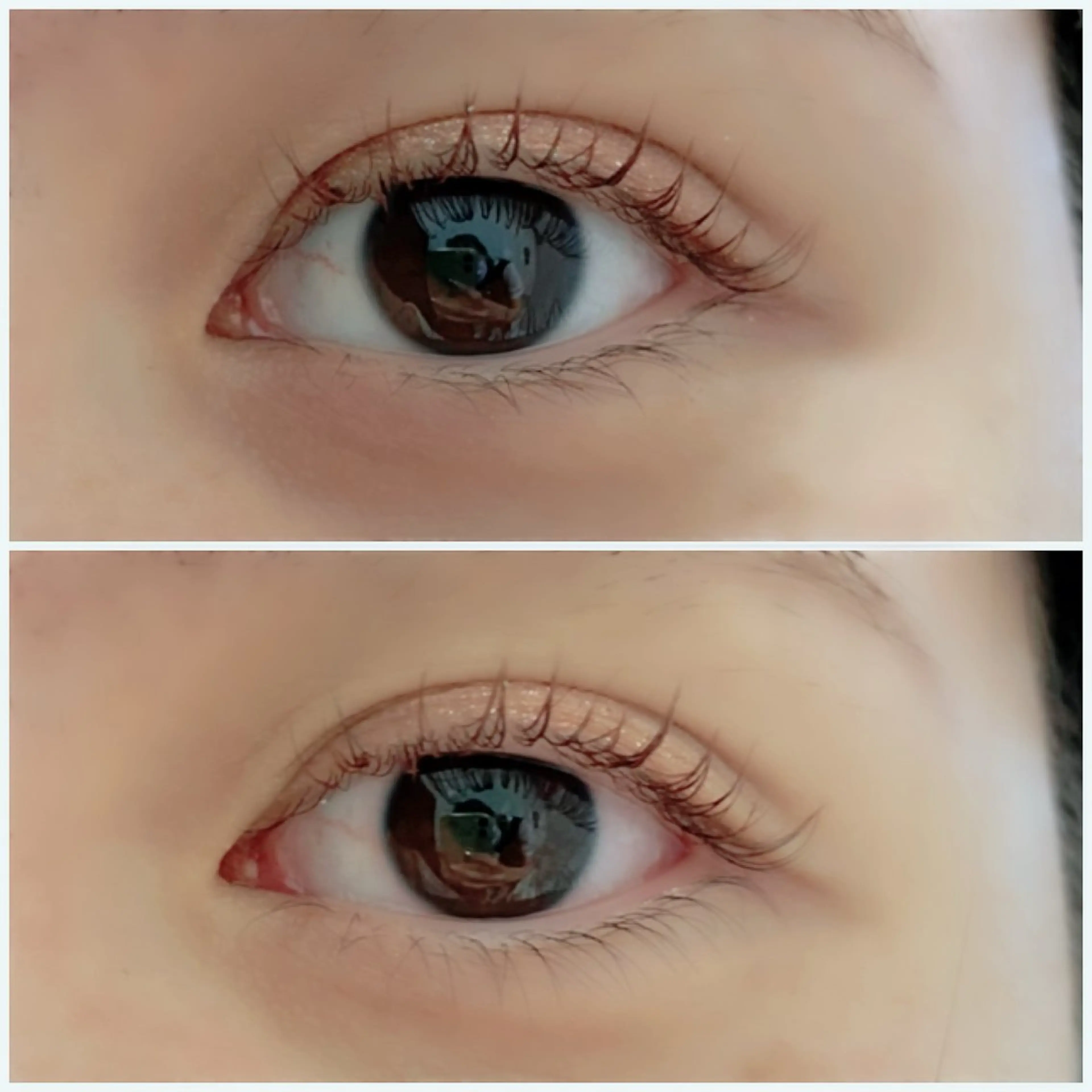 マツエク・マツパ 下まつげエクステ 一重×まつ毛パーマ yumeka 【eyelash】のマツエク・マツパデザイン