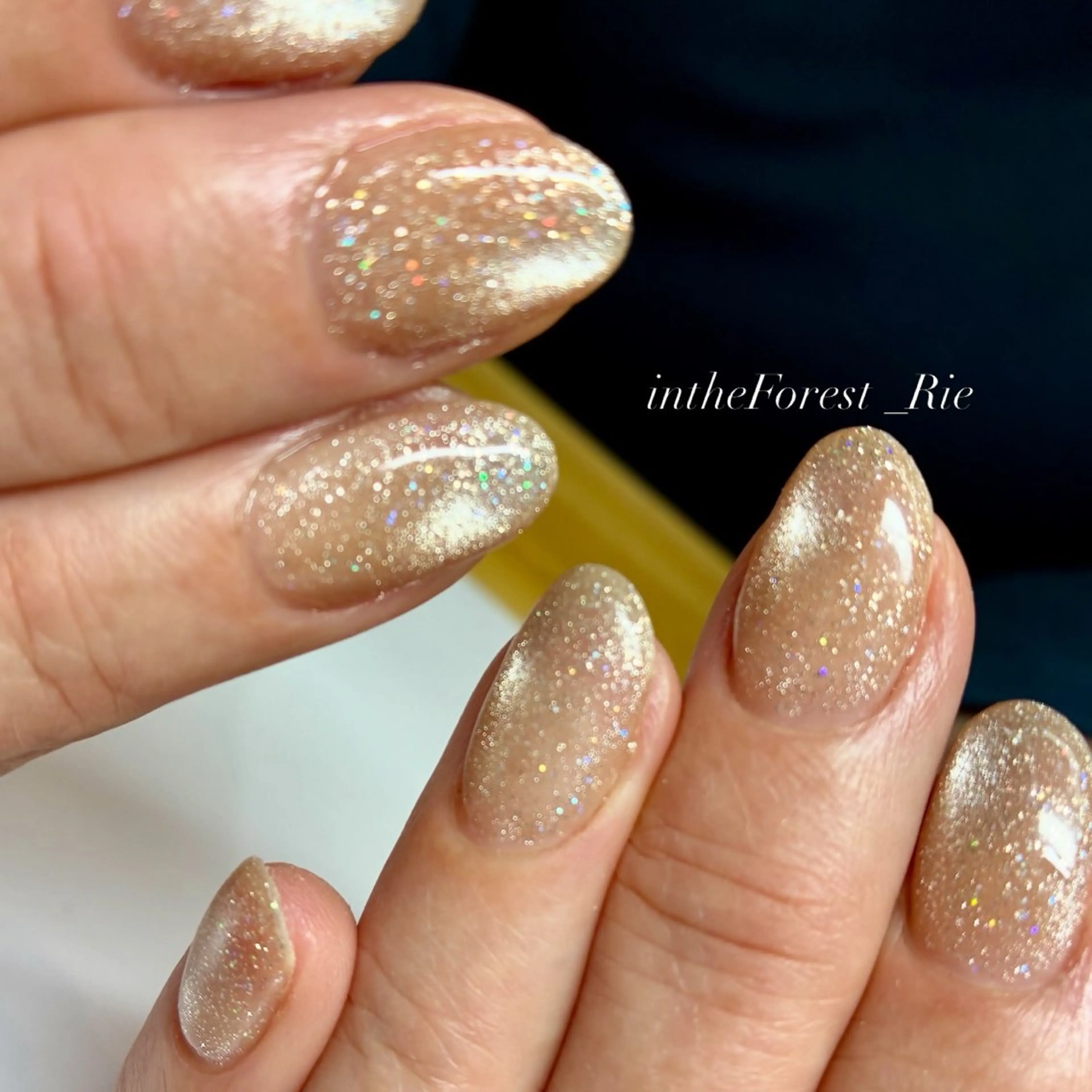 ネイル フラッシュネイル フラッシュマグ キラキラネイル マグネットネイル ハンドネイル Koga Rieのネイルデザイン