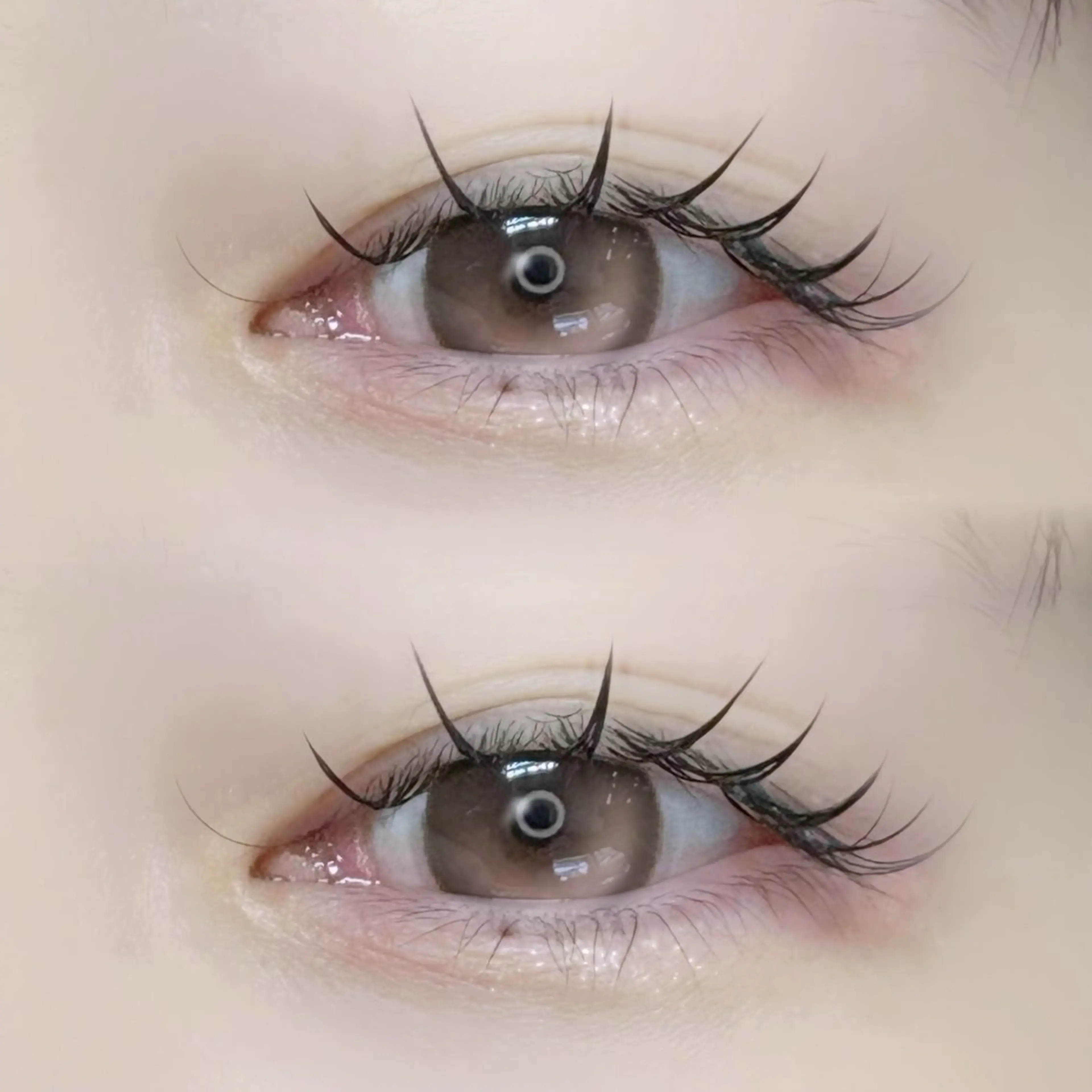 【15.18.19限定】ー500円引き‼️🍩 オフなし！🎀フラットラッシュ໒꒱120本   束感仕上げ♪の写真