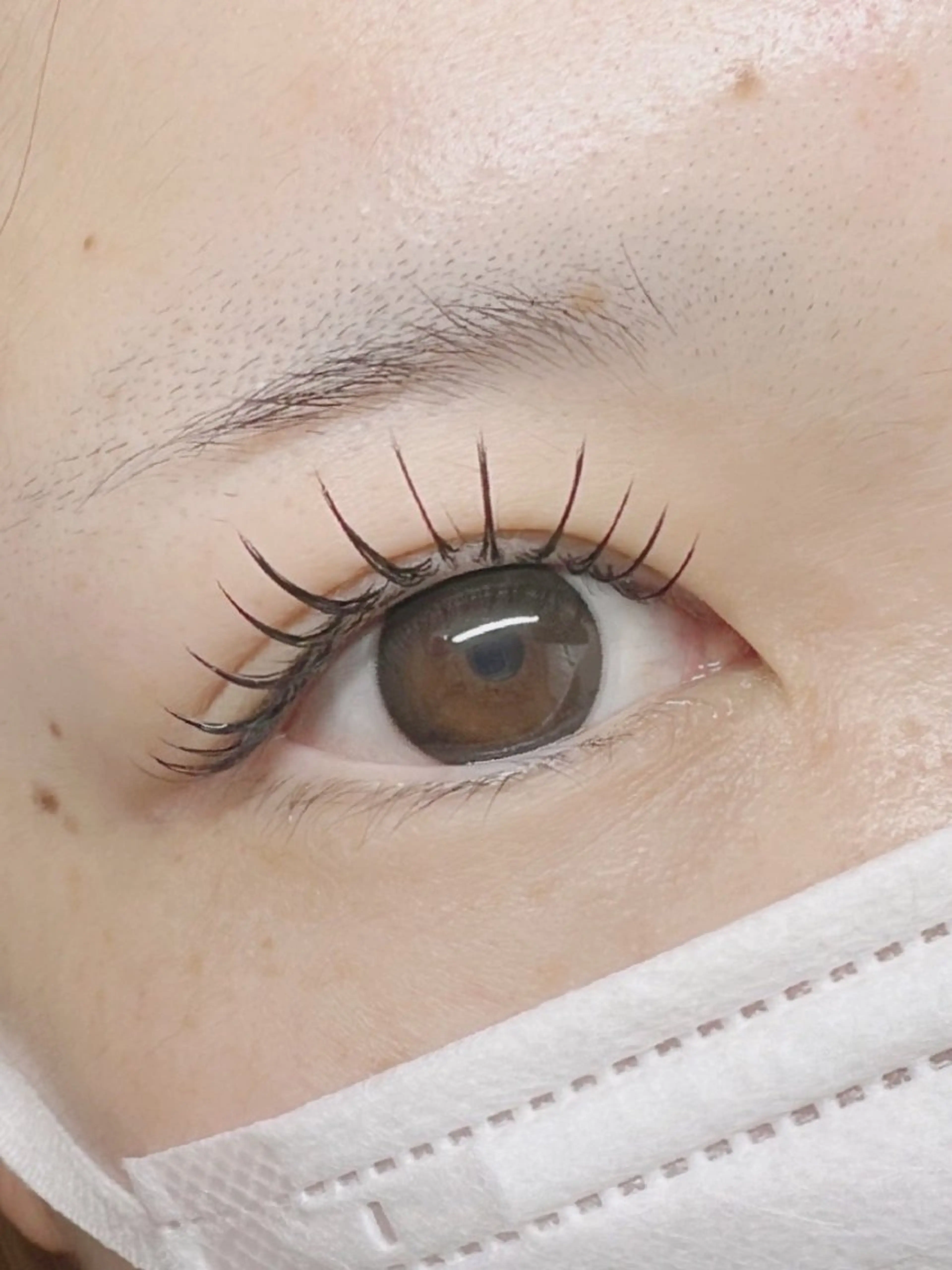 マツエク・マツパ アップワードラッシュ Eyelash Hauoliの眉毛・アイブロウイメージ