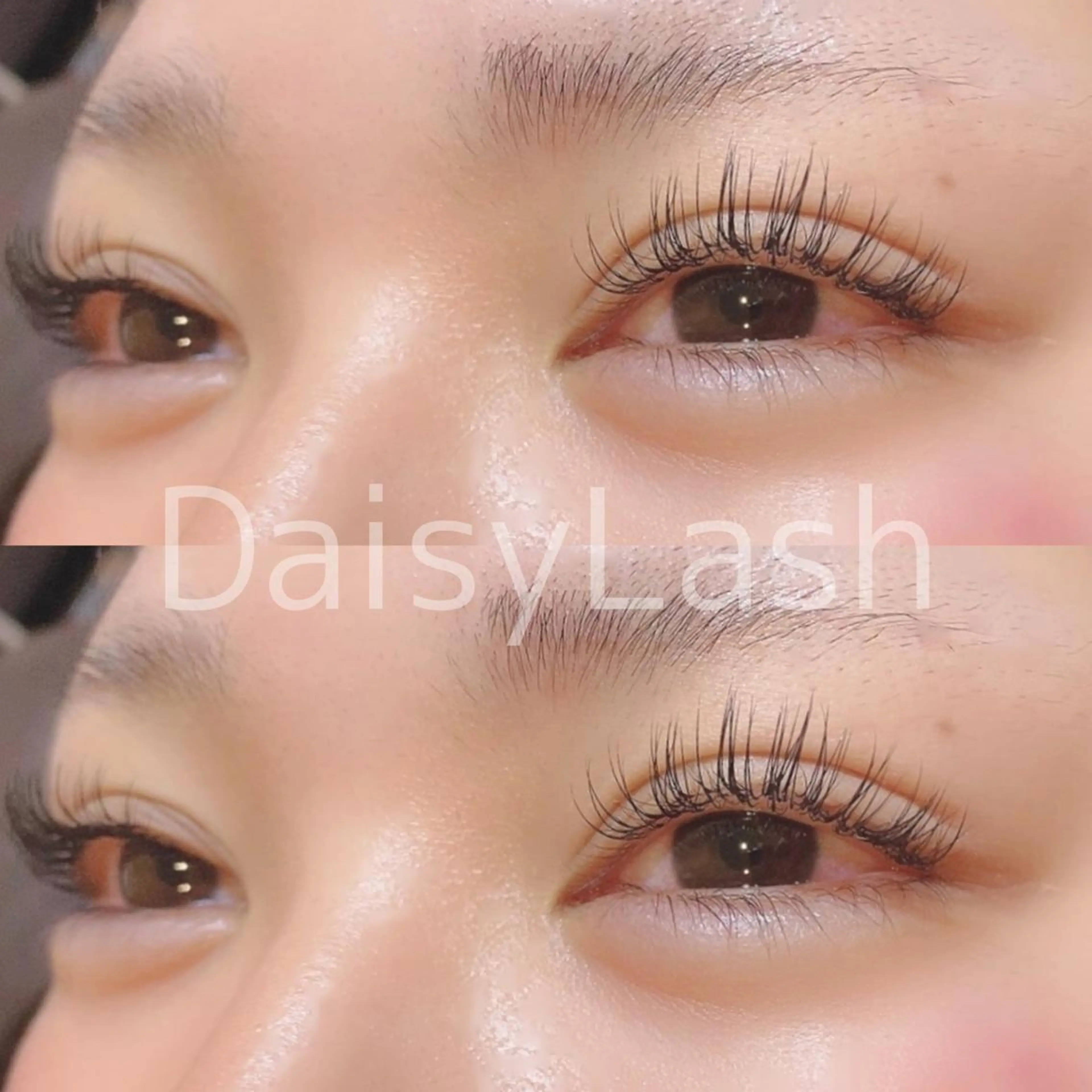 マツエク・マツパ DaisyLash 京橋店のマツエク・マツパデザイン