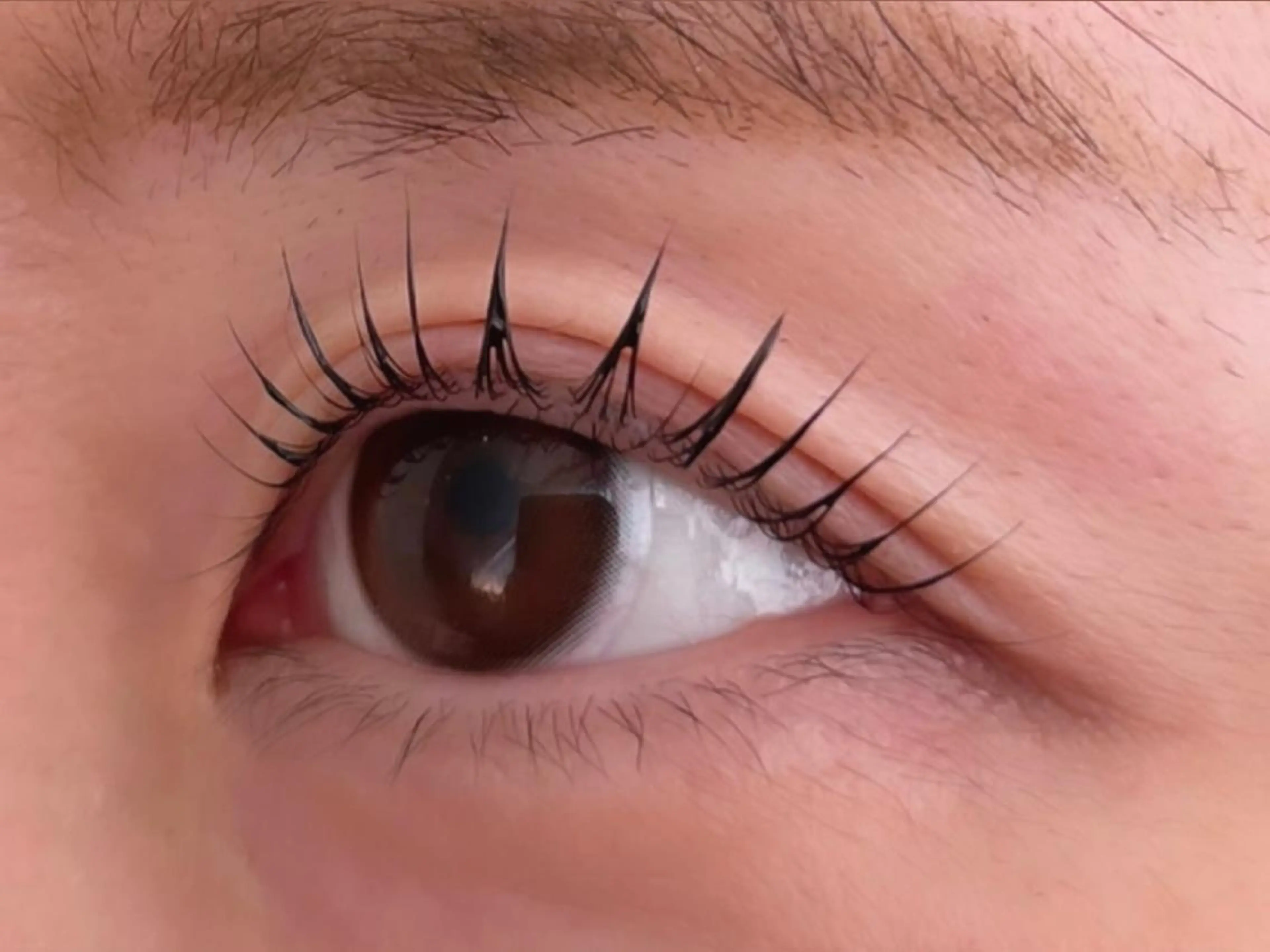 マツエク・マツパ パリジェンヌラッシュリフト 山脇🐋🤍 アンジェリカ錦糸町のマツエク・マツパデザイン