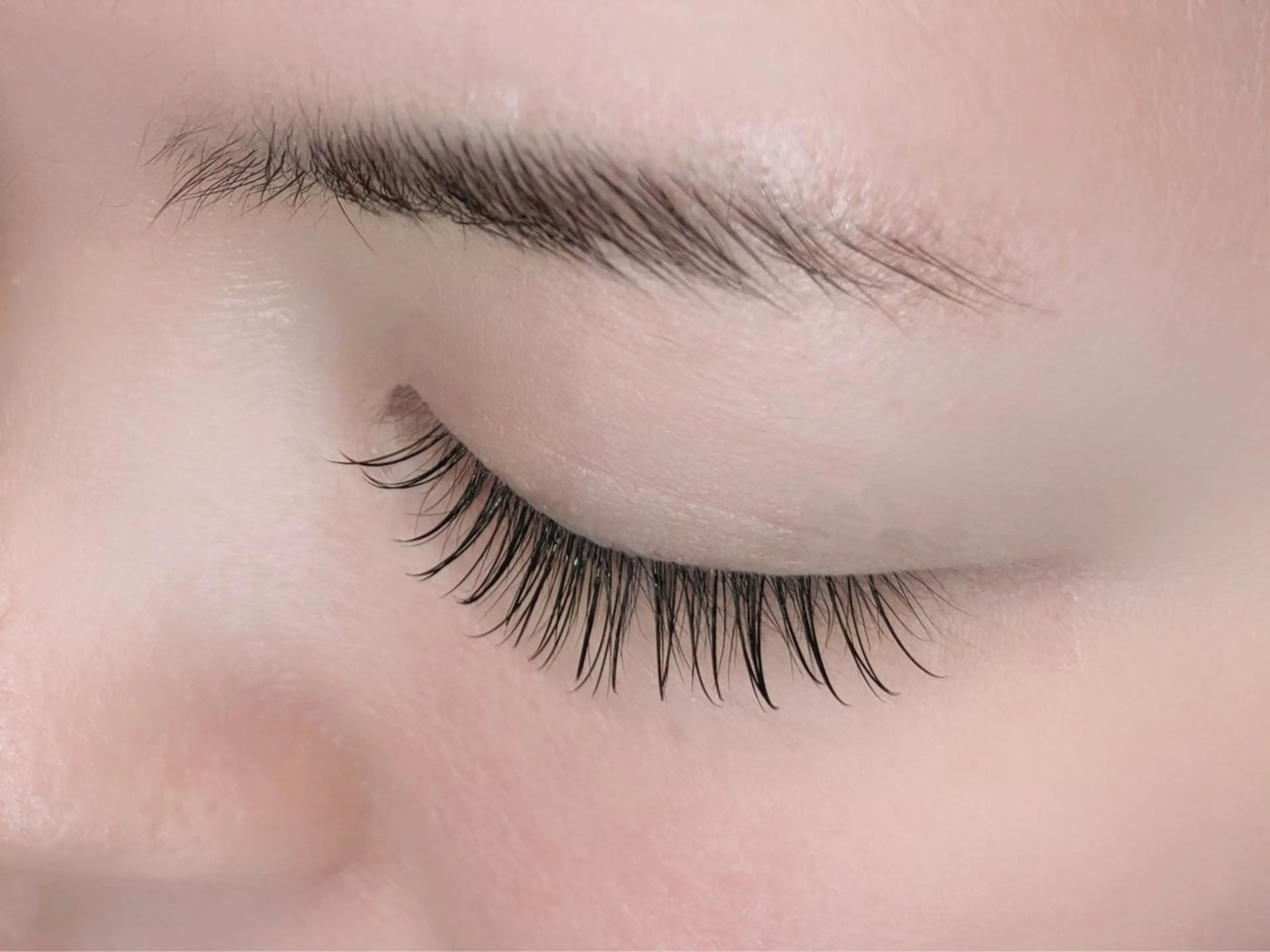 バインドロック80束の写真