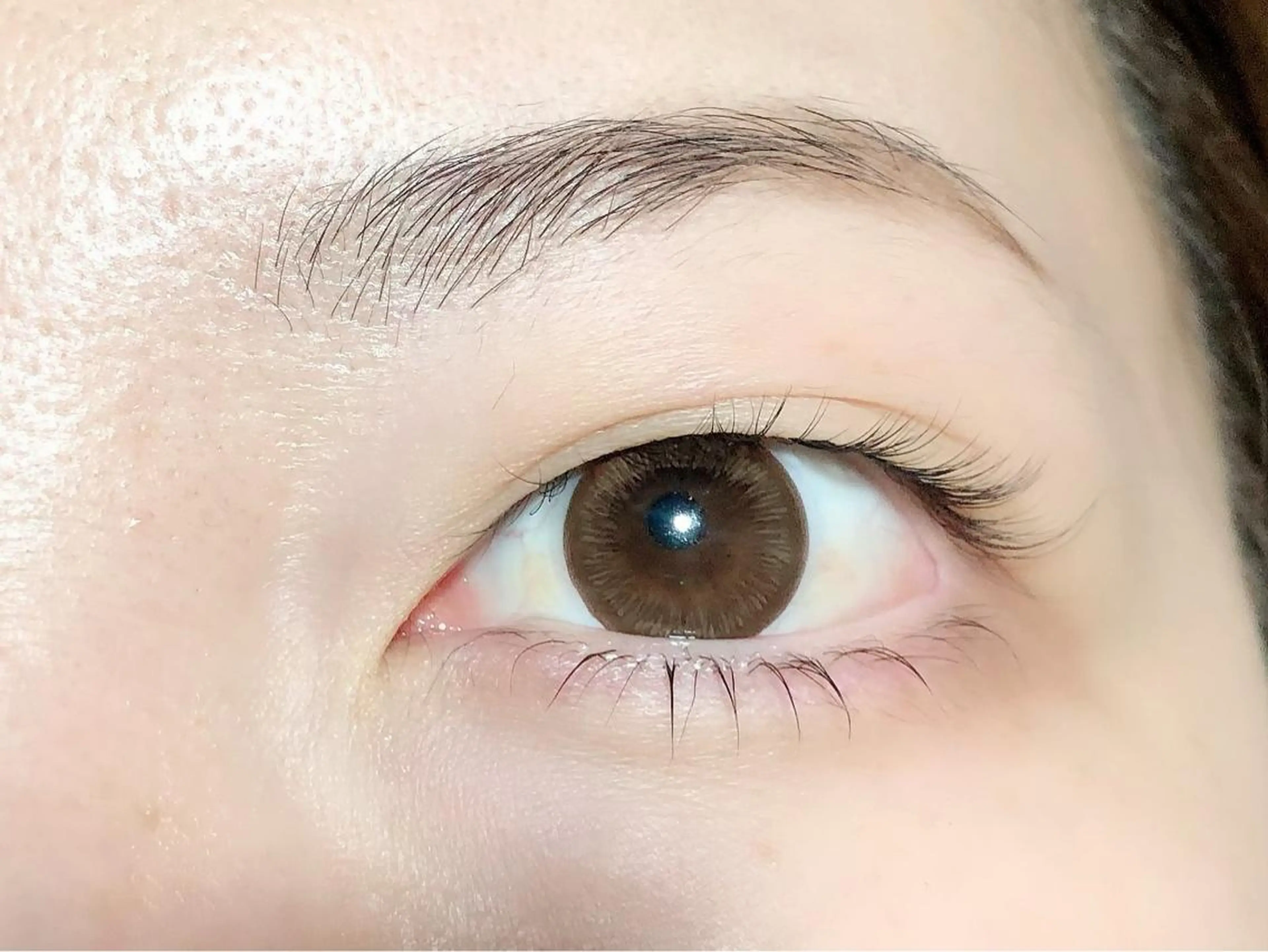 限定✨下まつ毛パーマ(コーティング付)の写真