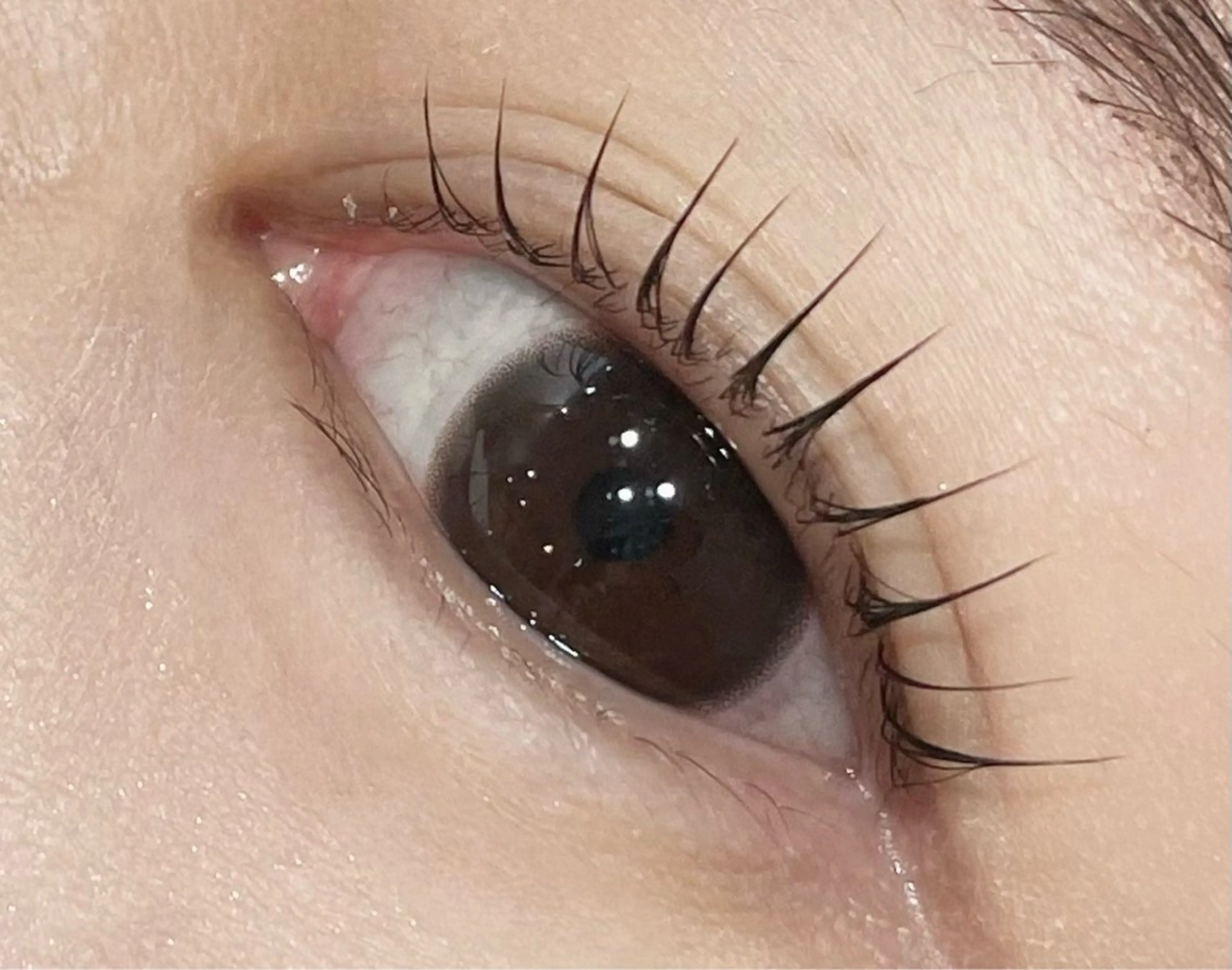 マツエク・マツパ REI 🫧ROYALのマツエク・マツパデザイン