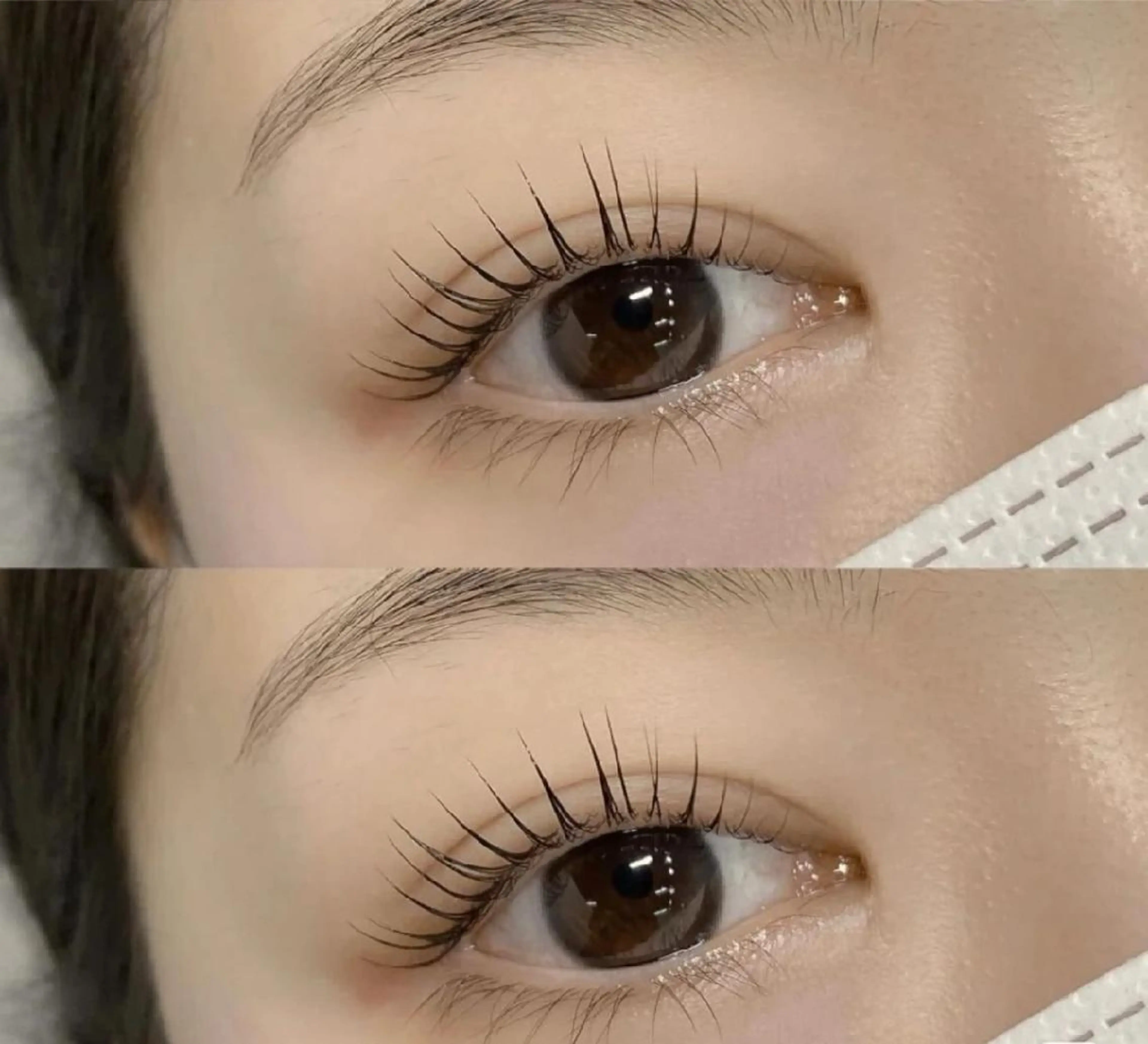 🌸パリジェンヌラッシュリフト上🌸アイシャンプー+美容液付の写真