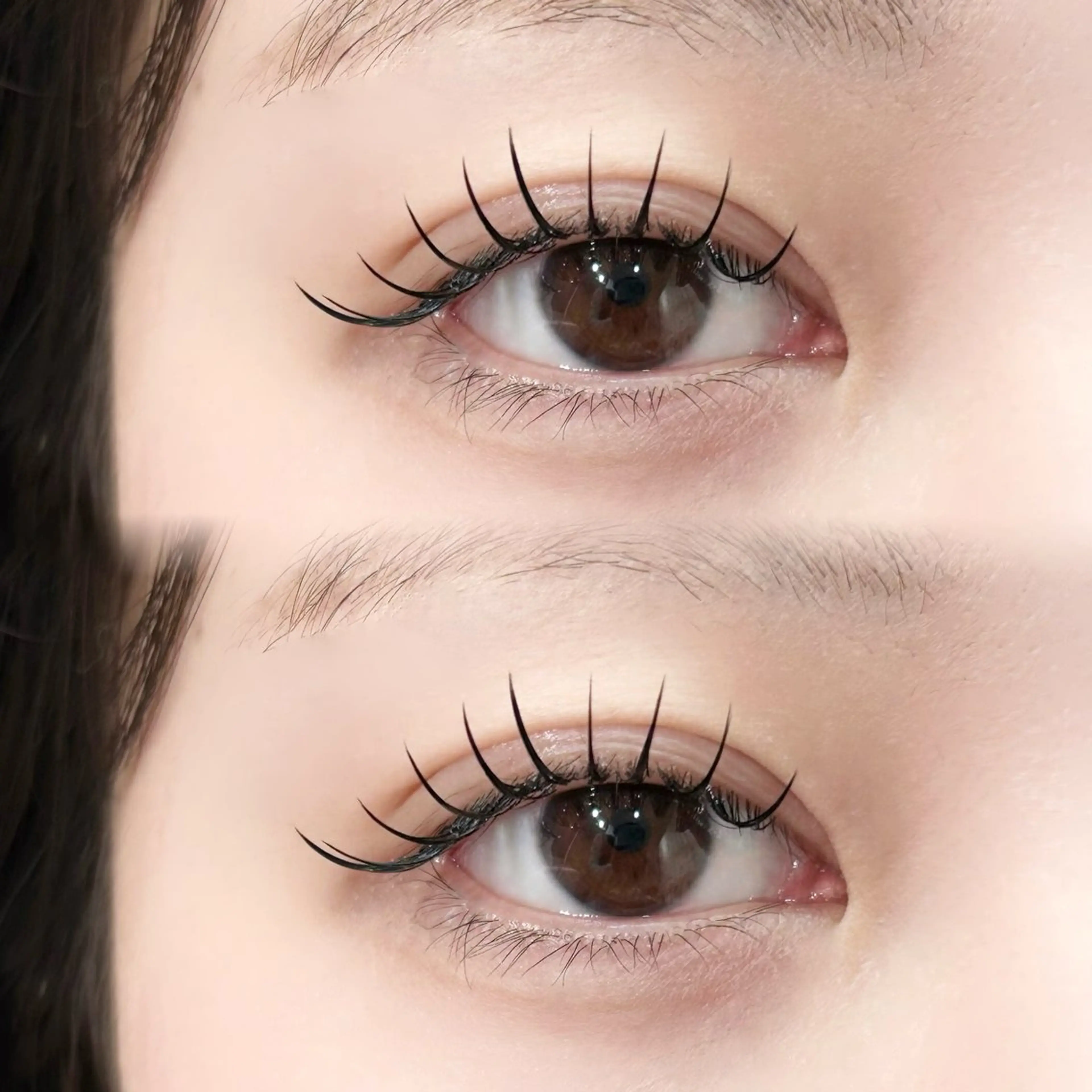 フラットラッシュ　120本の写真